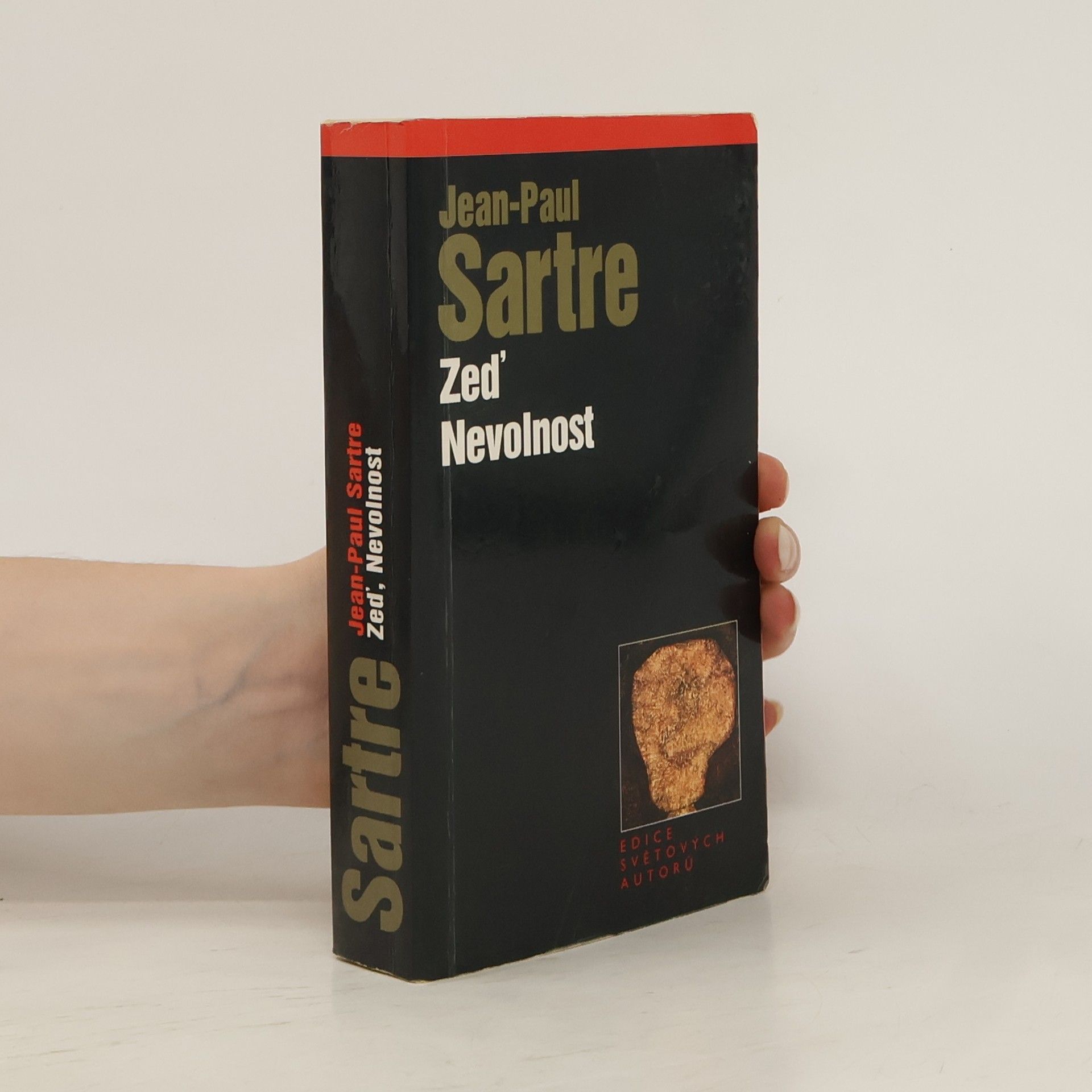 Dagmar Stein Zeď ; Nevolnost