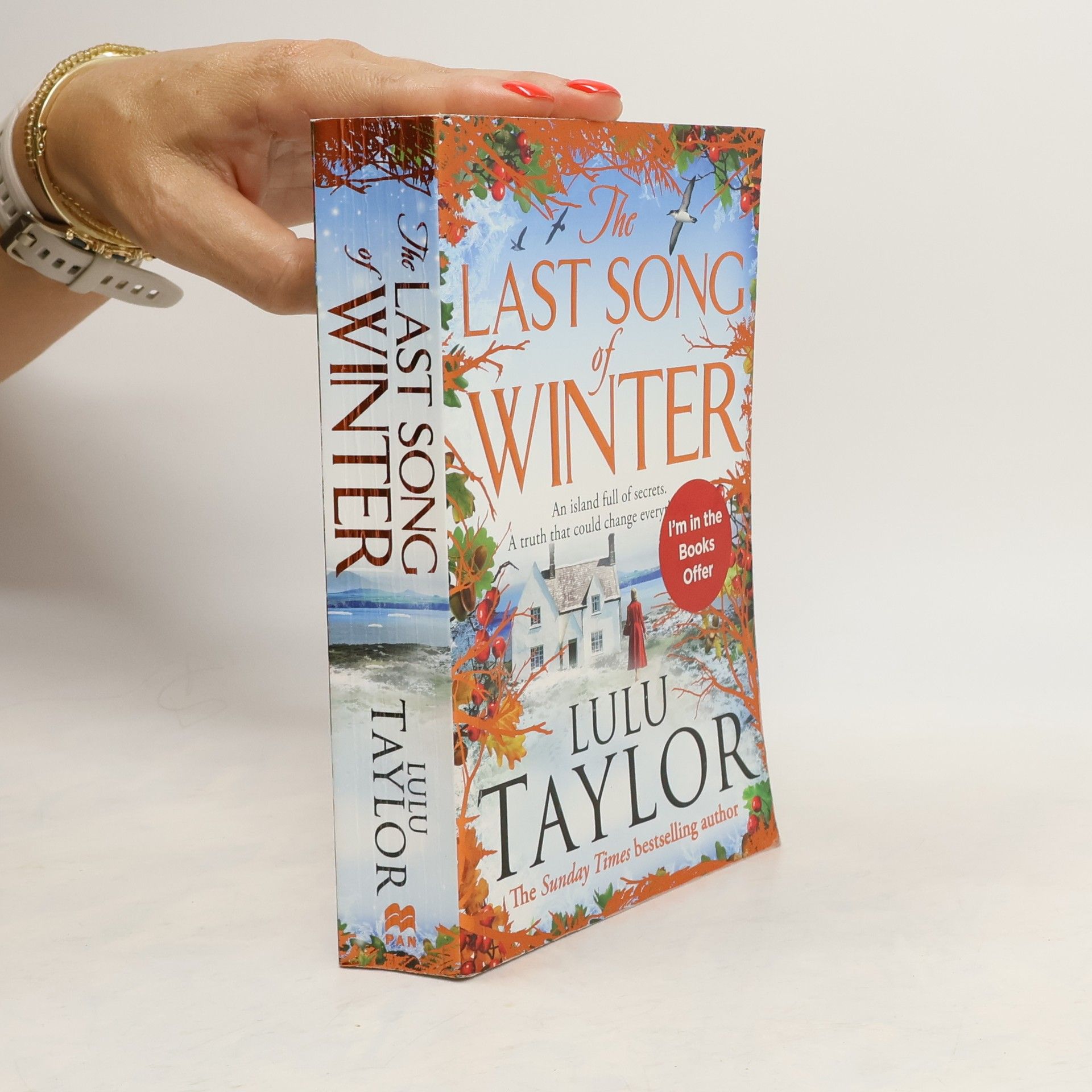 Lulu Taylor The Last Song of Winter