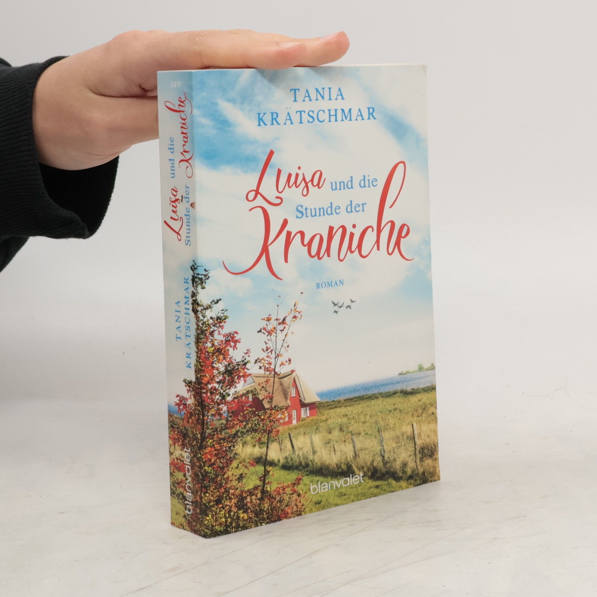 Tania Krätschmar Luisa und die Stunde der Kraniche