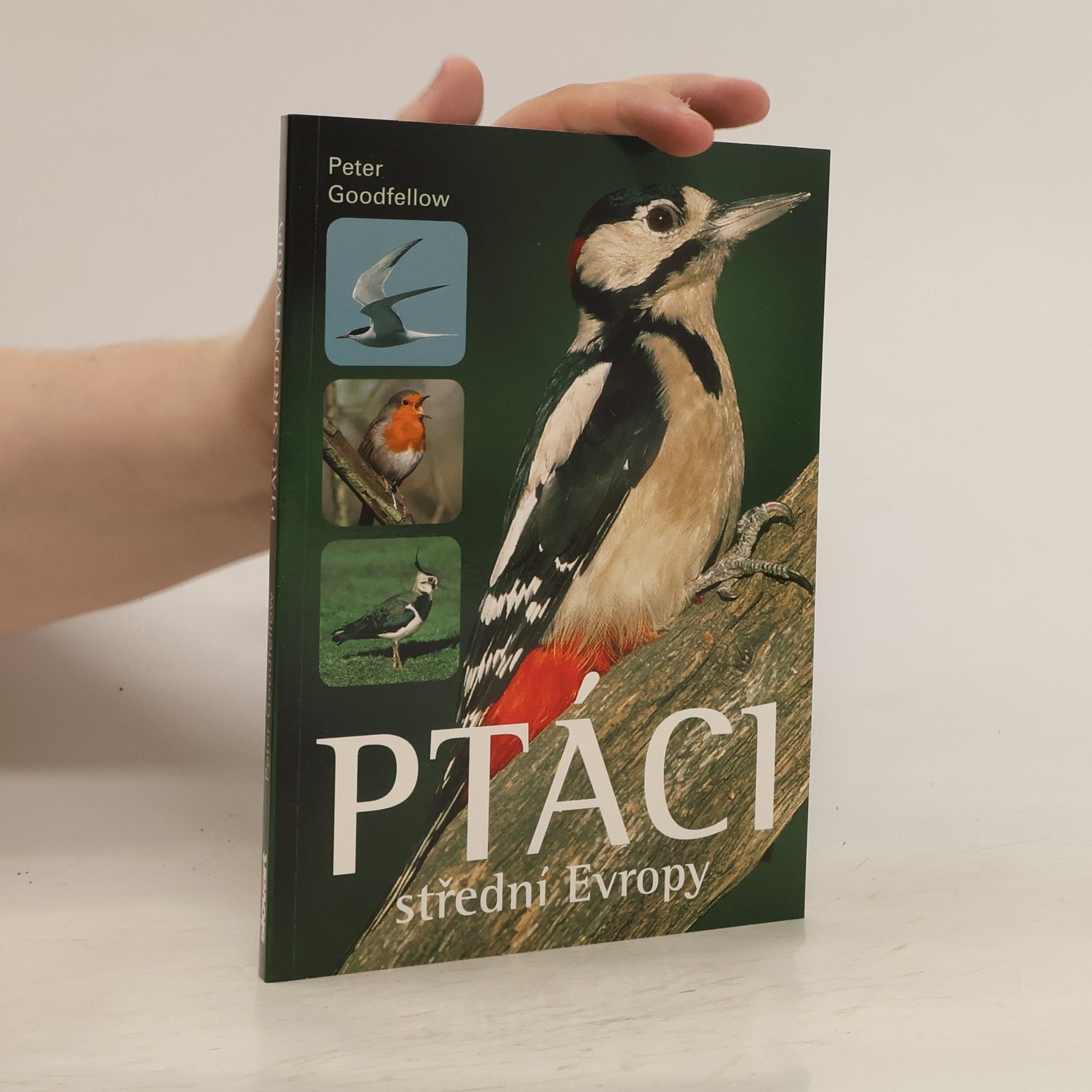 Peter Goodfellow Ptáci střední Evropy