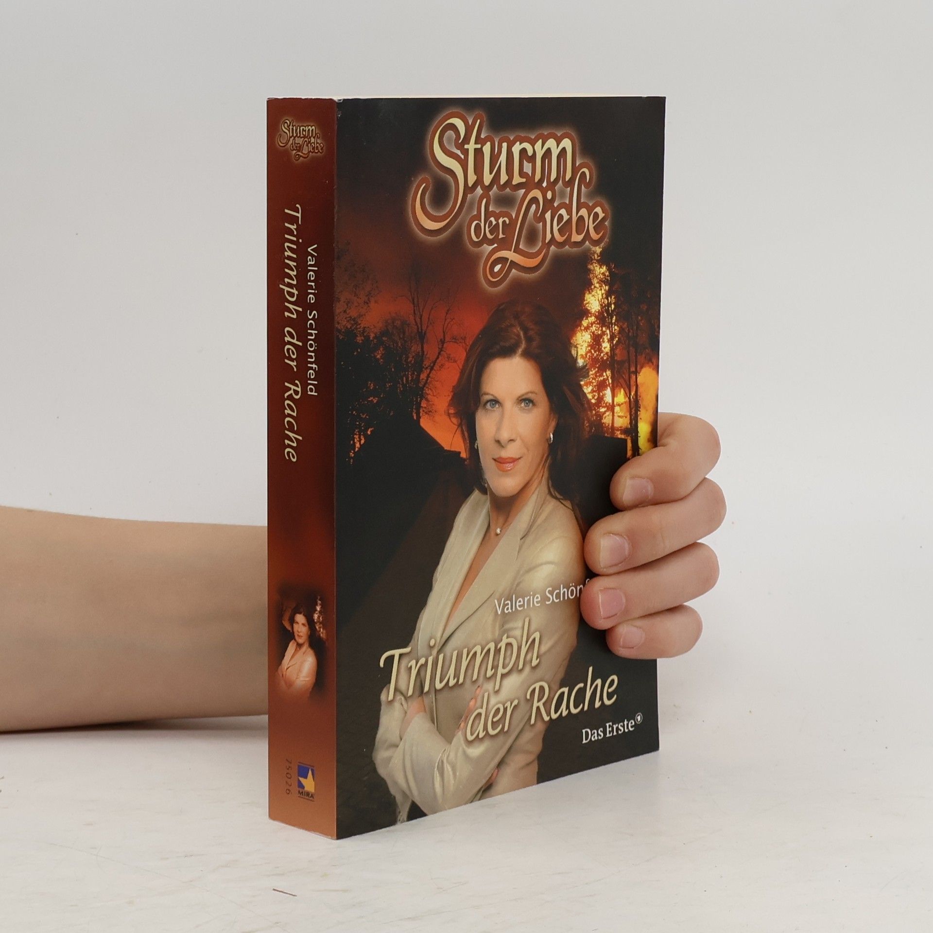 kolektiv Sturm der Liebe