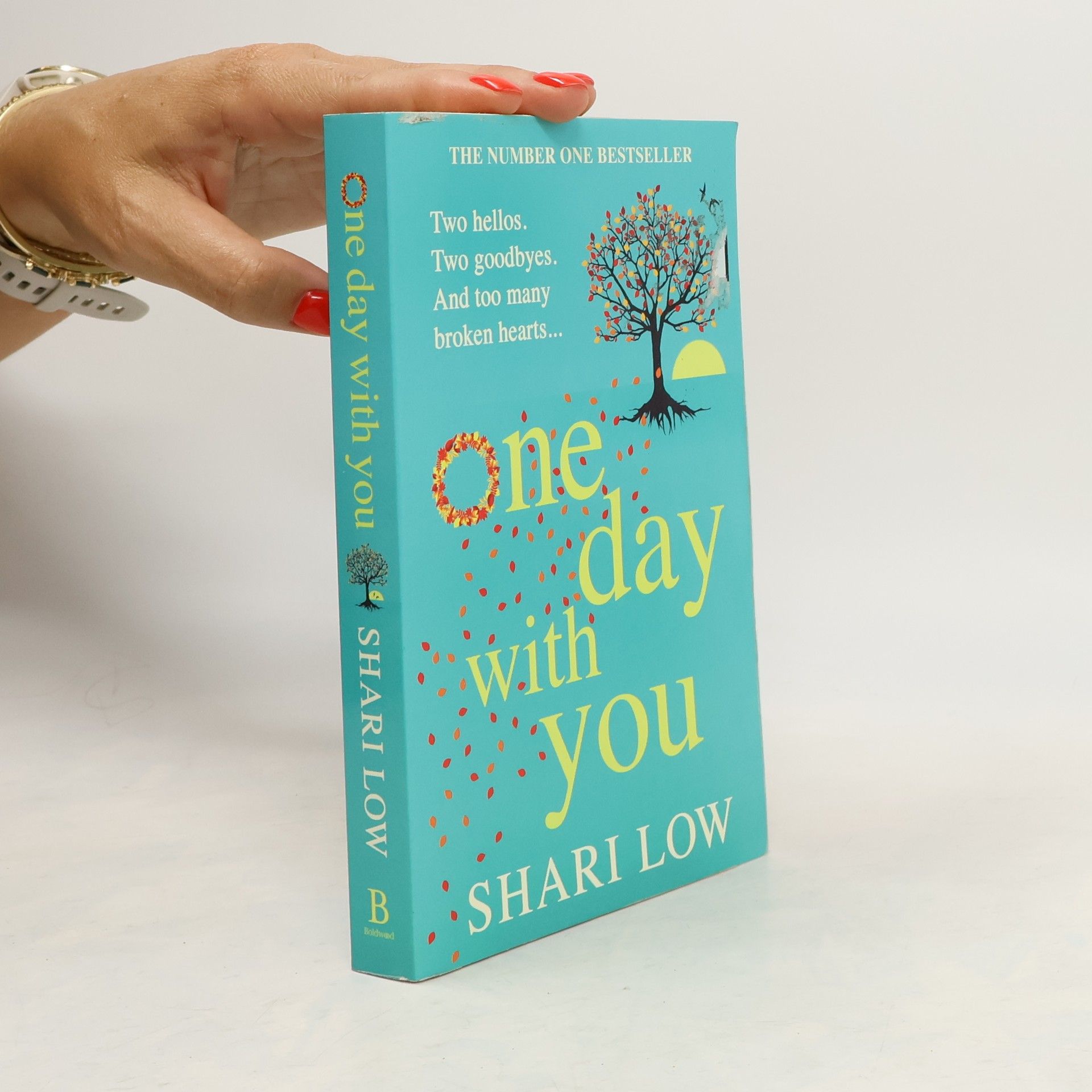 Shari Low One Day With You