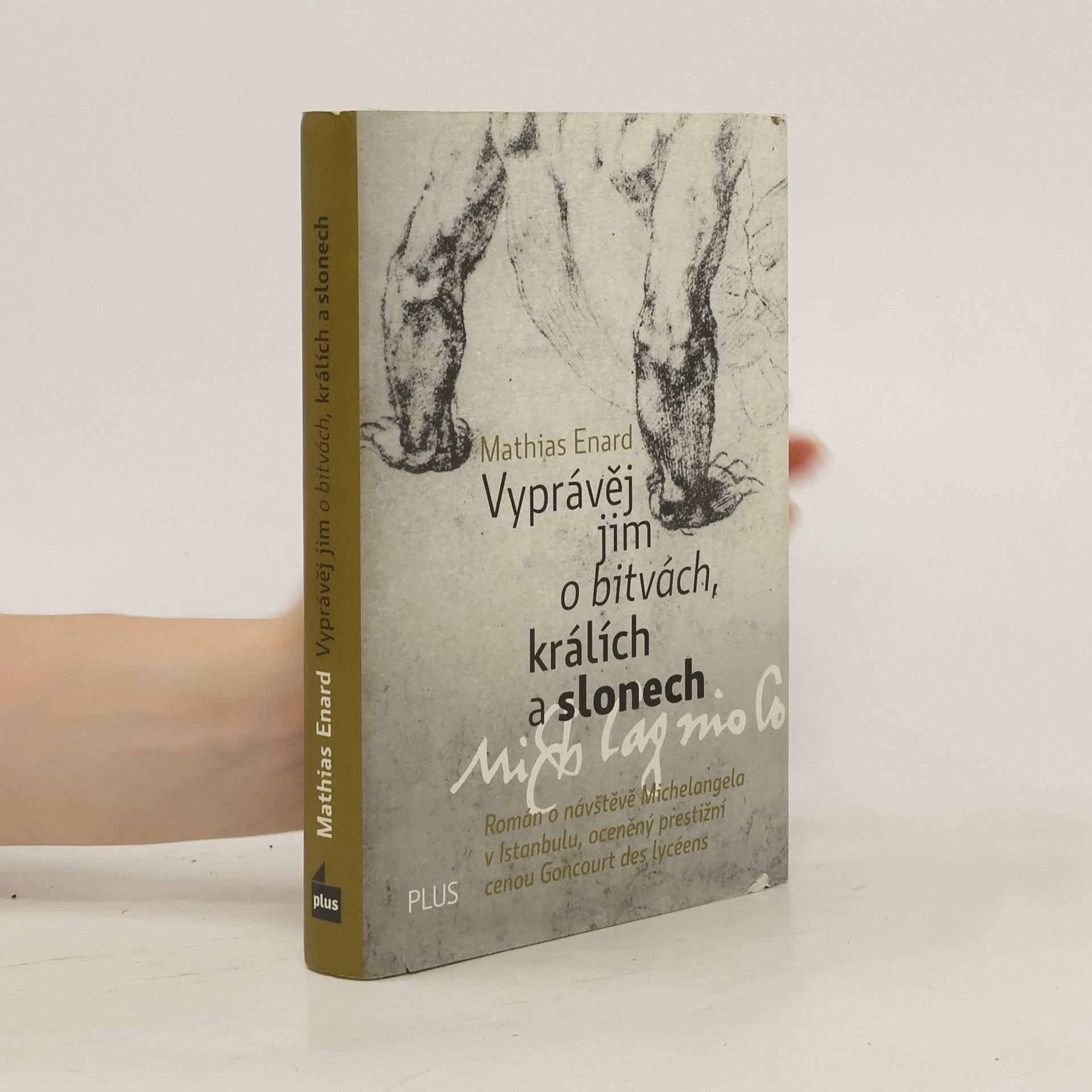 Mathias Énard Vyprávěj jim o bitvách, králích a slonech