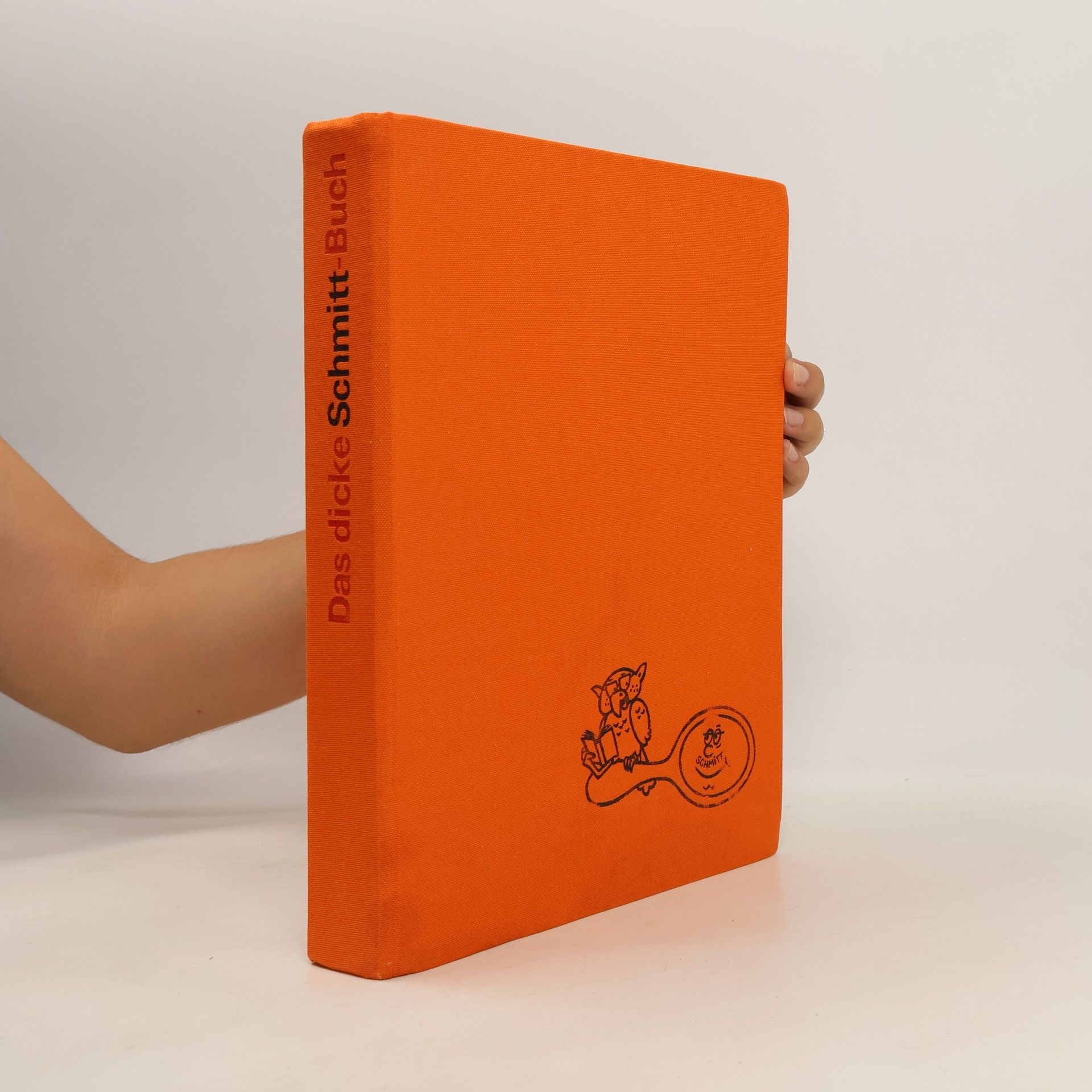 kolektiv Das dicke Schmitt-Buch