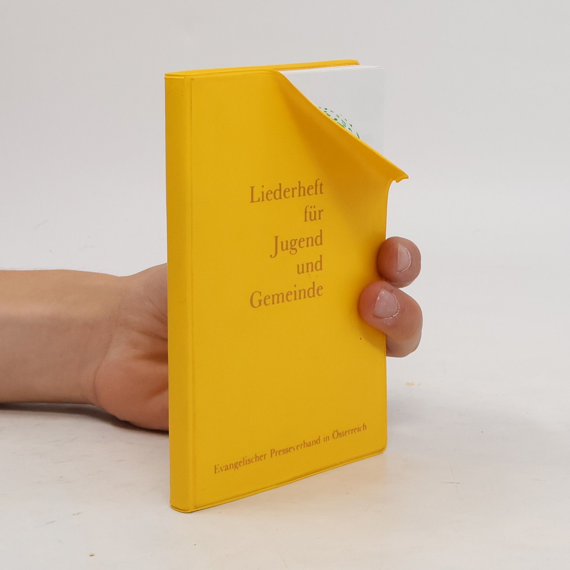 Collectif d'auteurs Liederheft für Jugend und Gemeinde