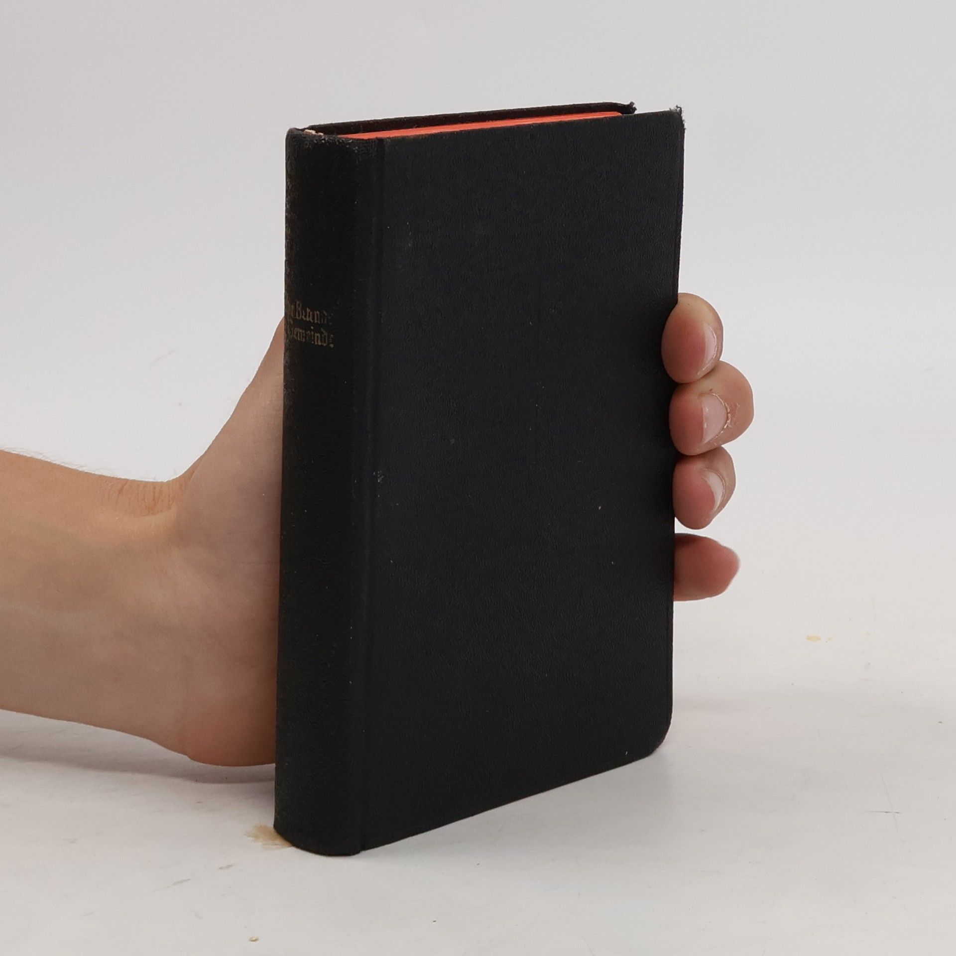 Collectif d'auteurs Die betende Gemeinde