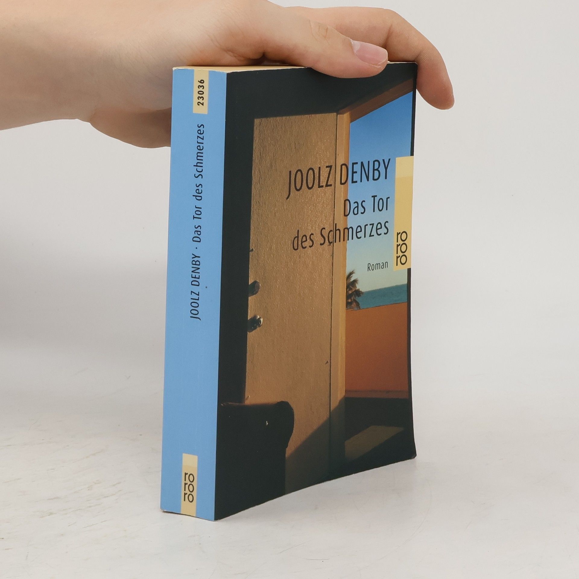 Joolz Denby Das Tor des Schmerzes