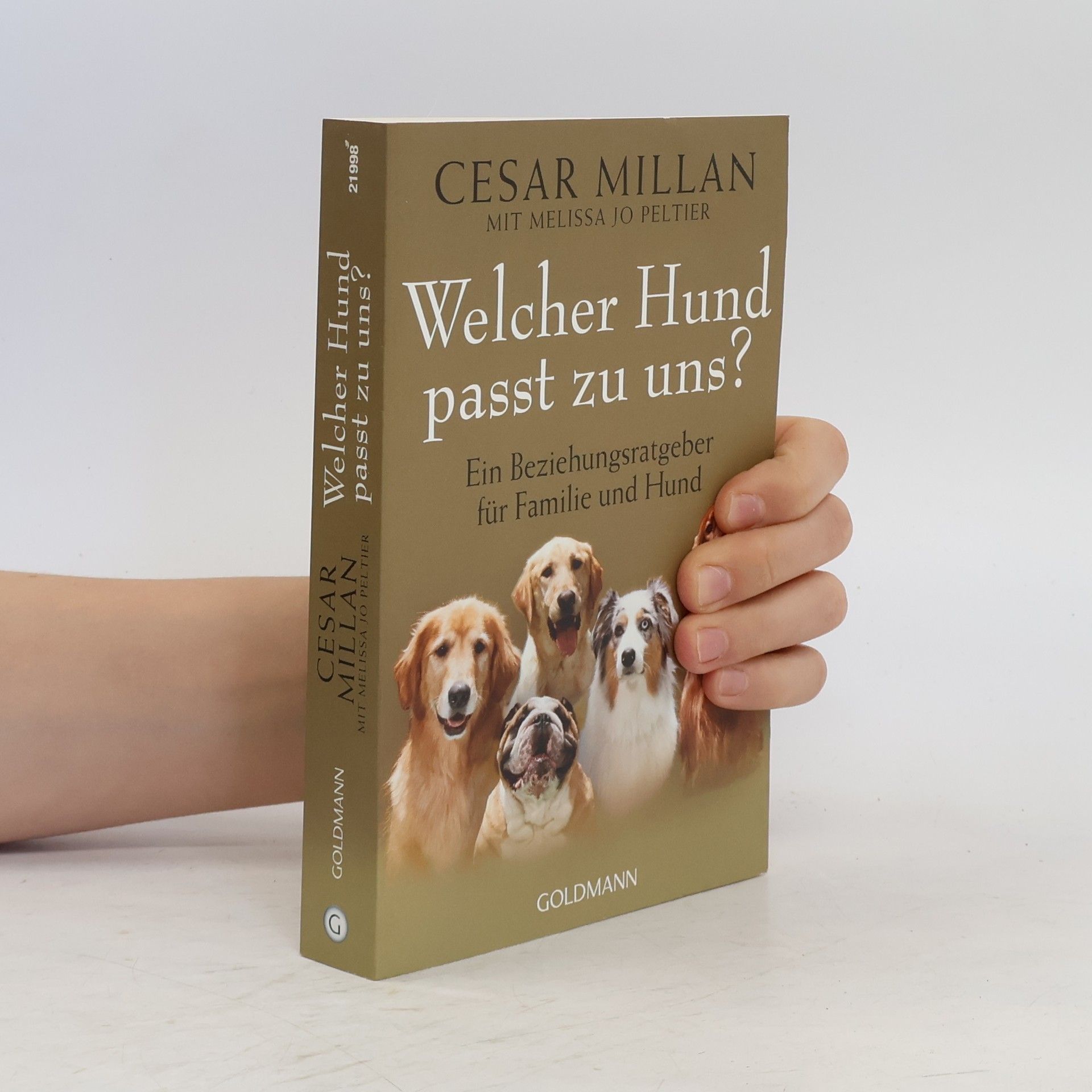 Cesar Millan Welcher Hund passt zu uns?