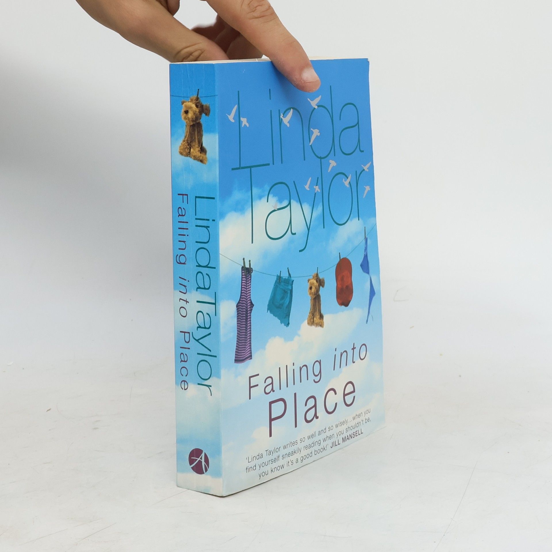 Lynda B. Taylor Falling Into Place
