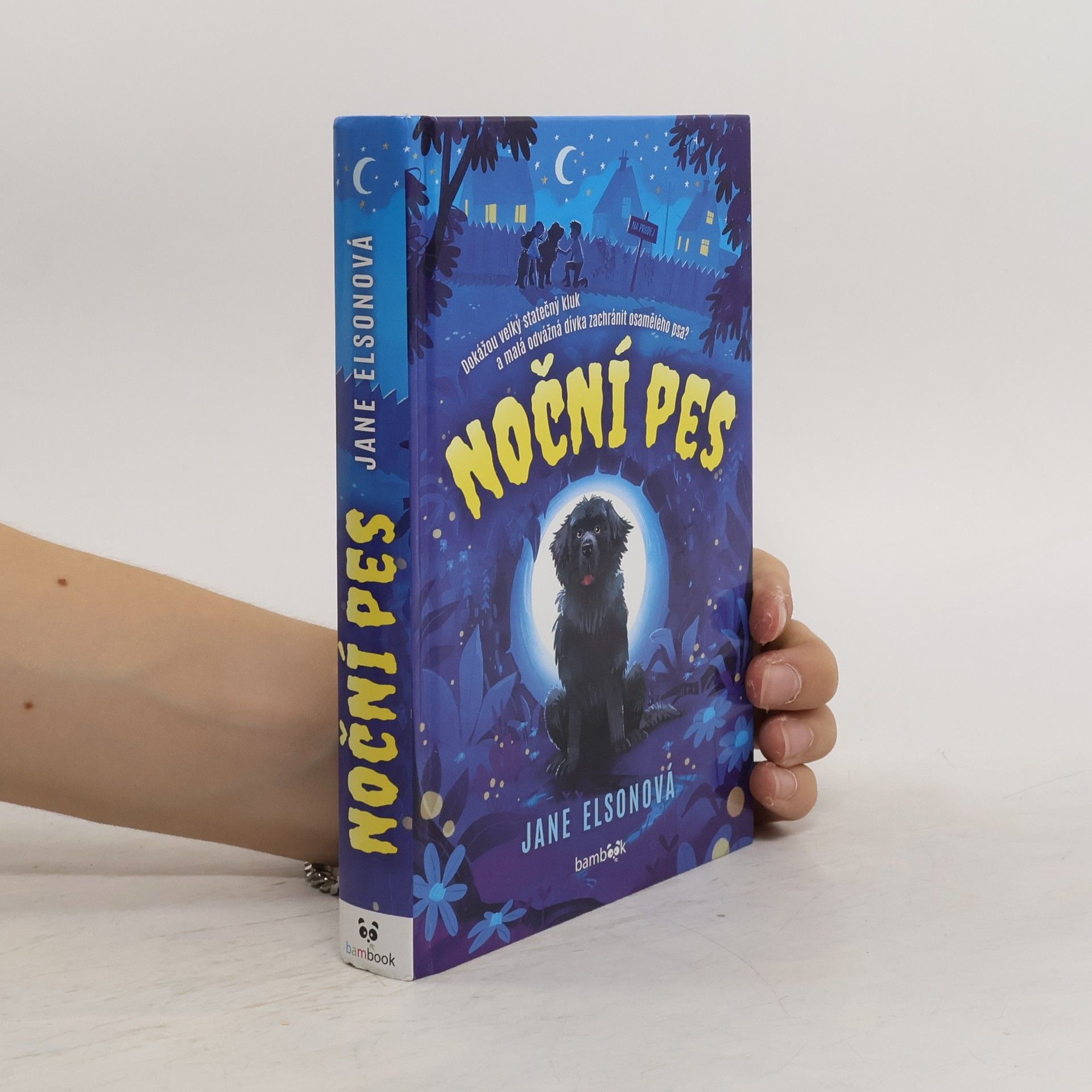 Jane Elson Noční pes