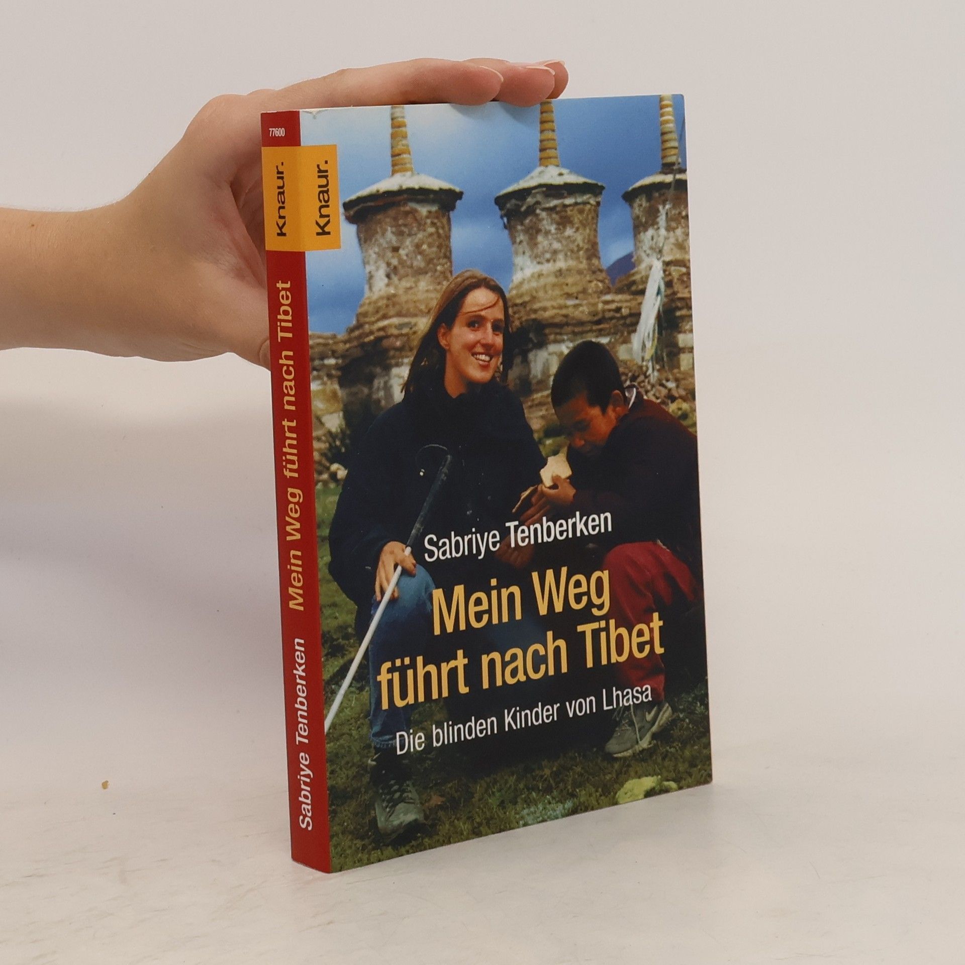Sabriye Tenberken Mein Weg führt nach Tibet