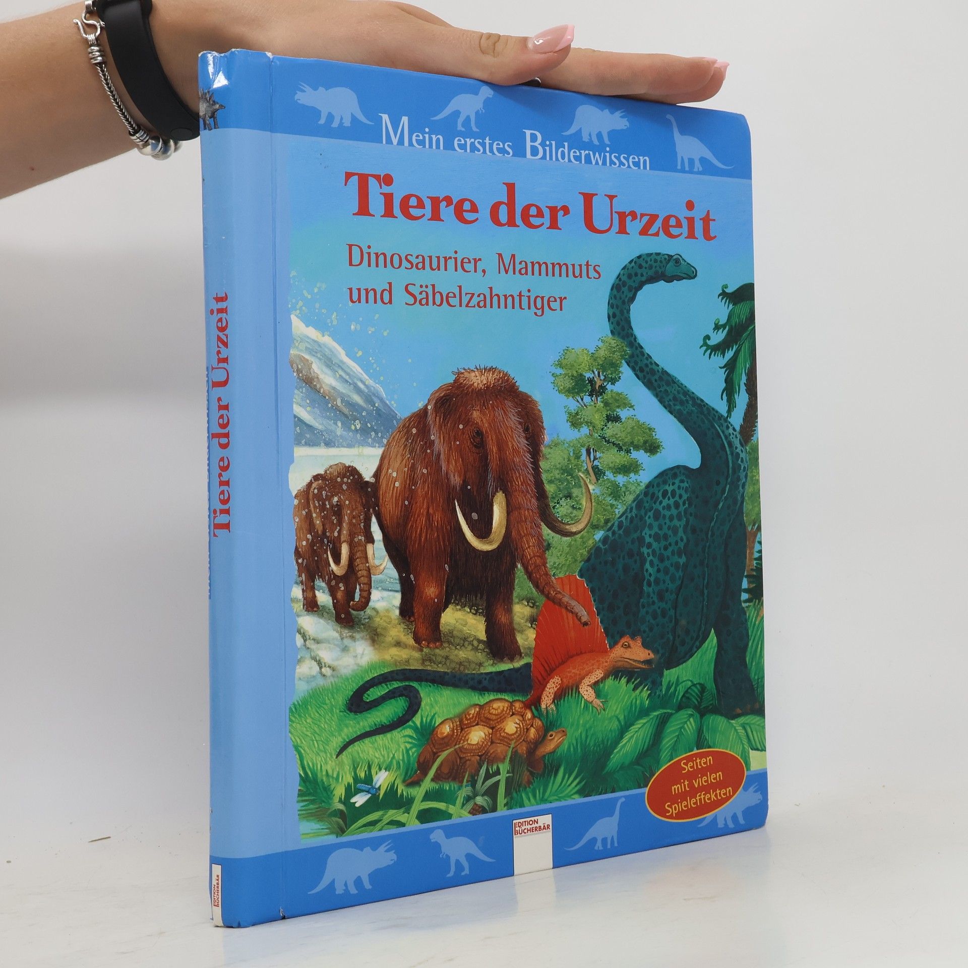 Alicia Brehmer Tiere der Urzeit