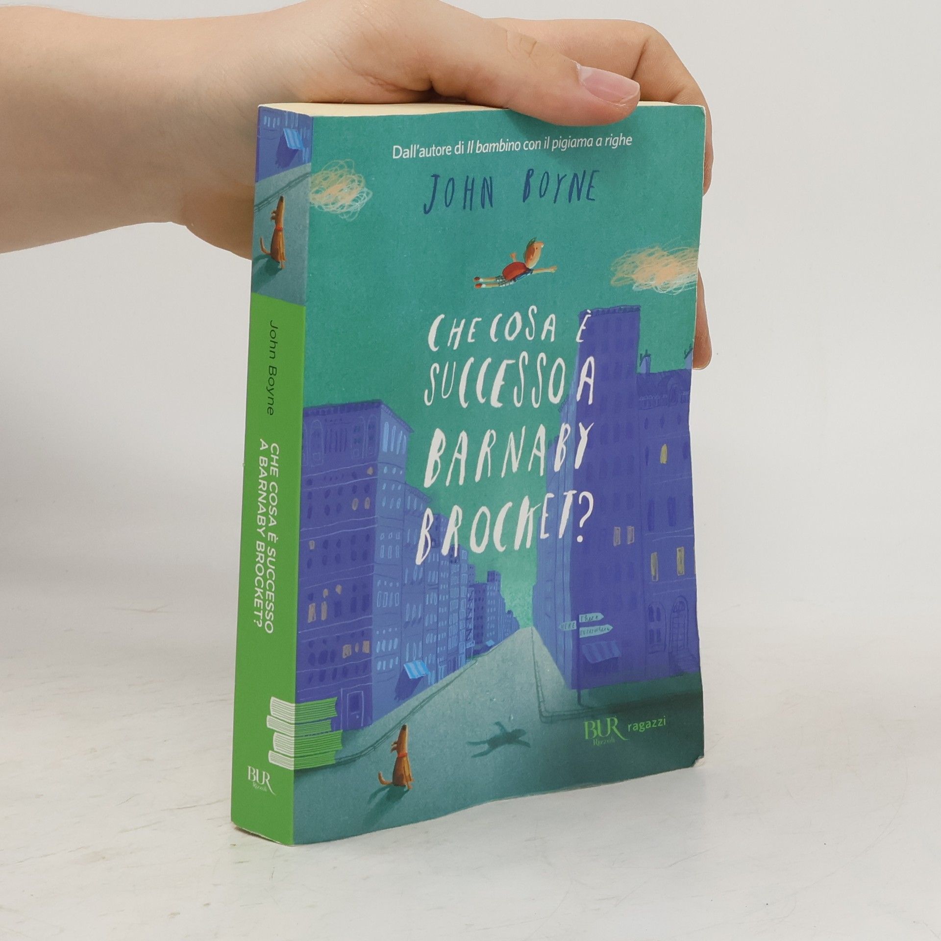 John Boyne Che cosa è successo a Barnaby Brocket?
