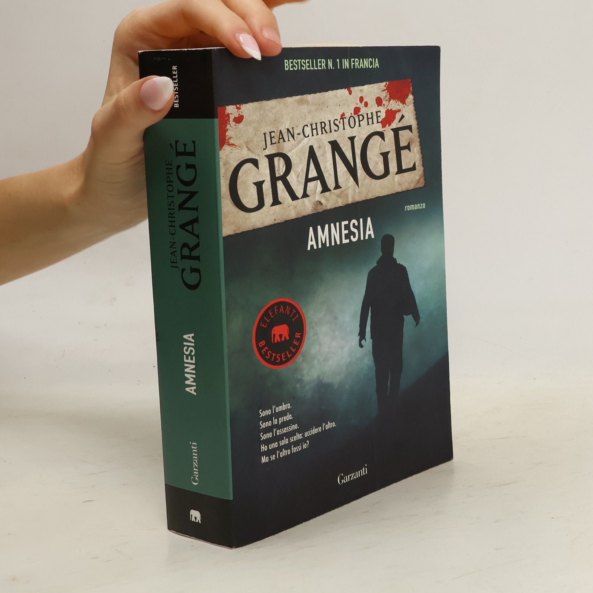 Jean Christophe Grangé Amnesia
