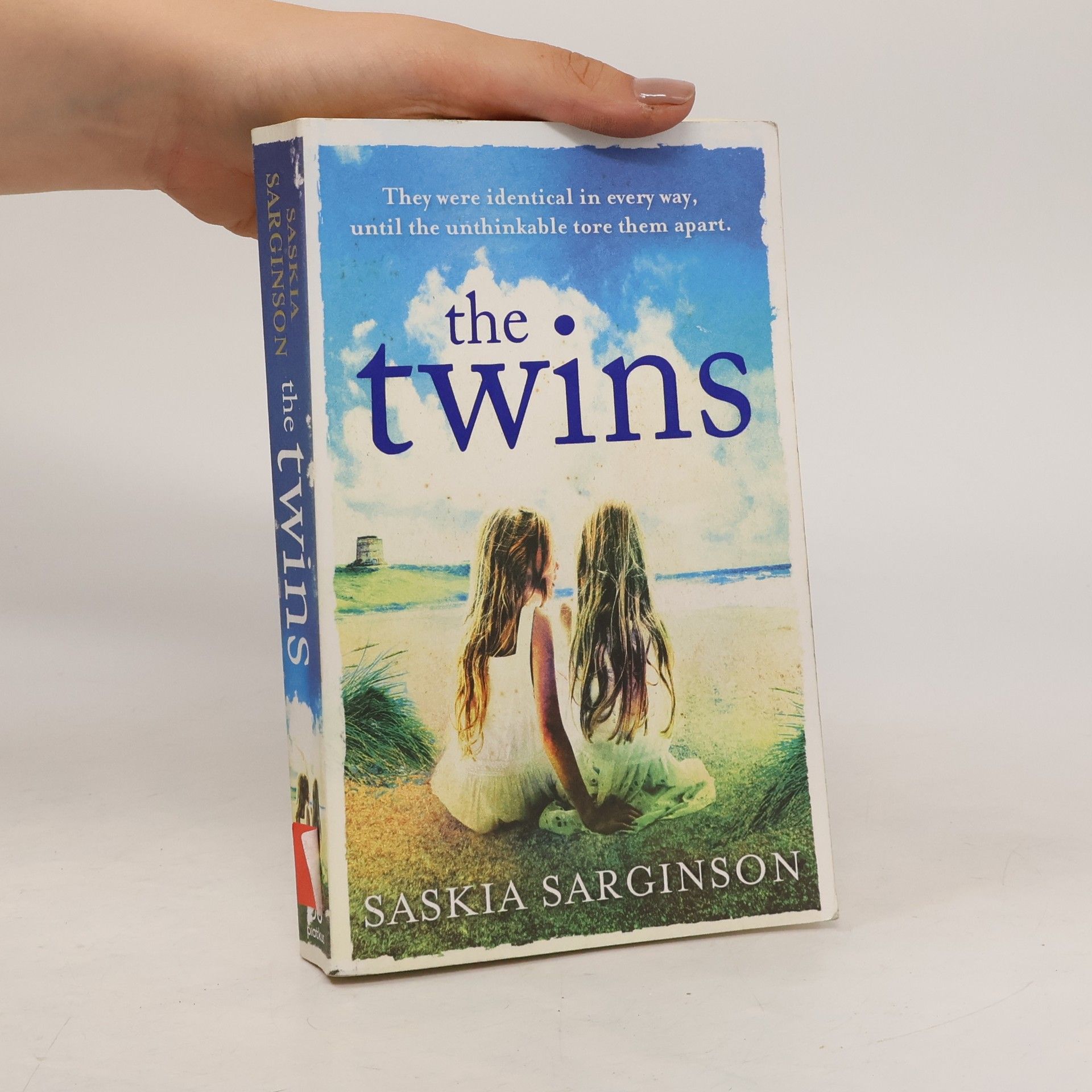 Saskia Sarginson The Twins