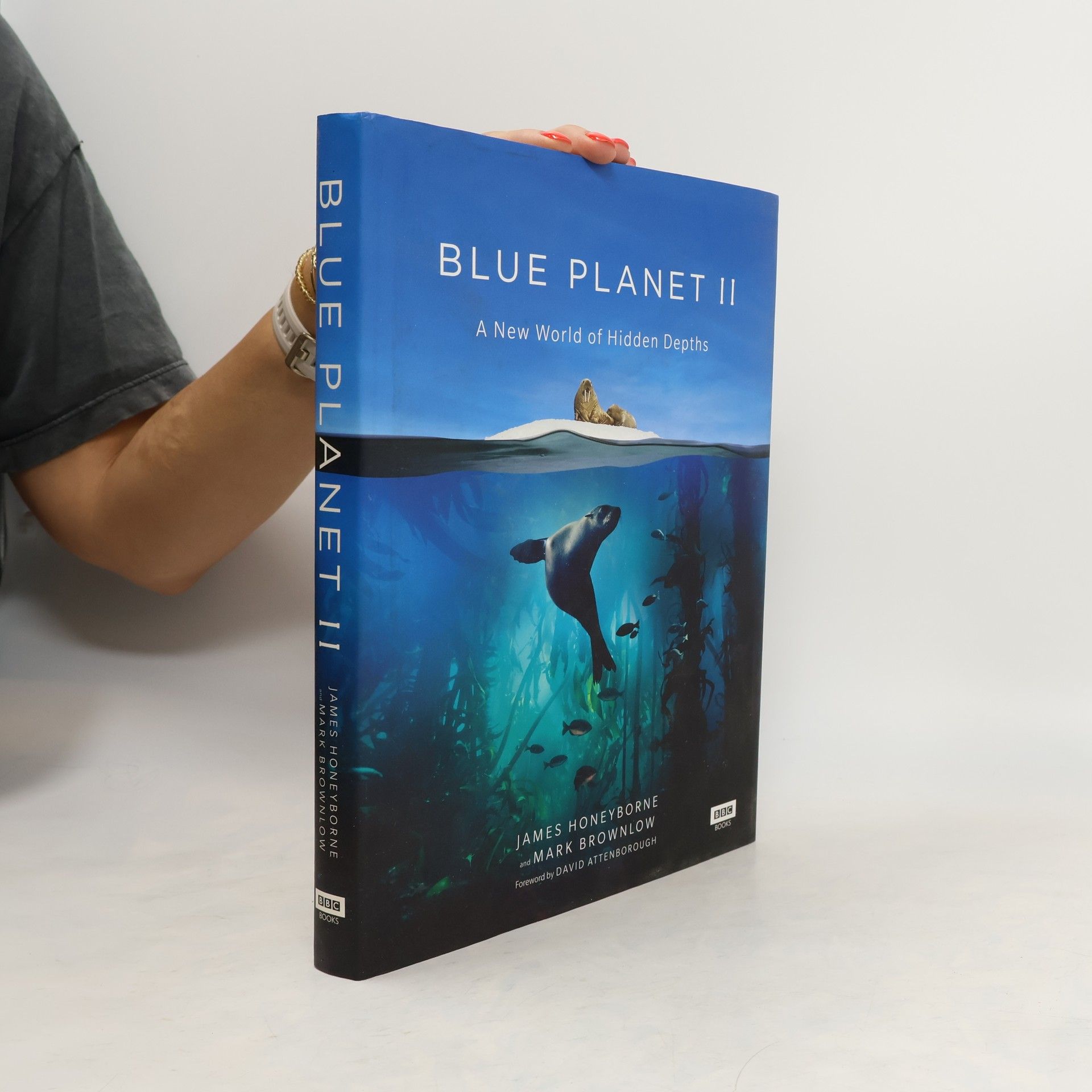 Mark Brownlow Blue Planet II
