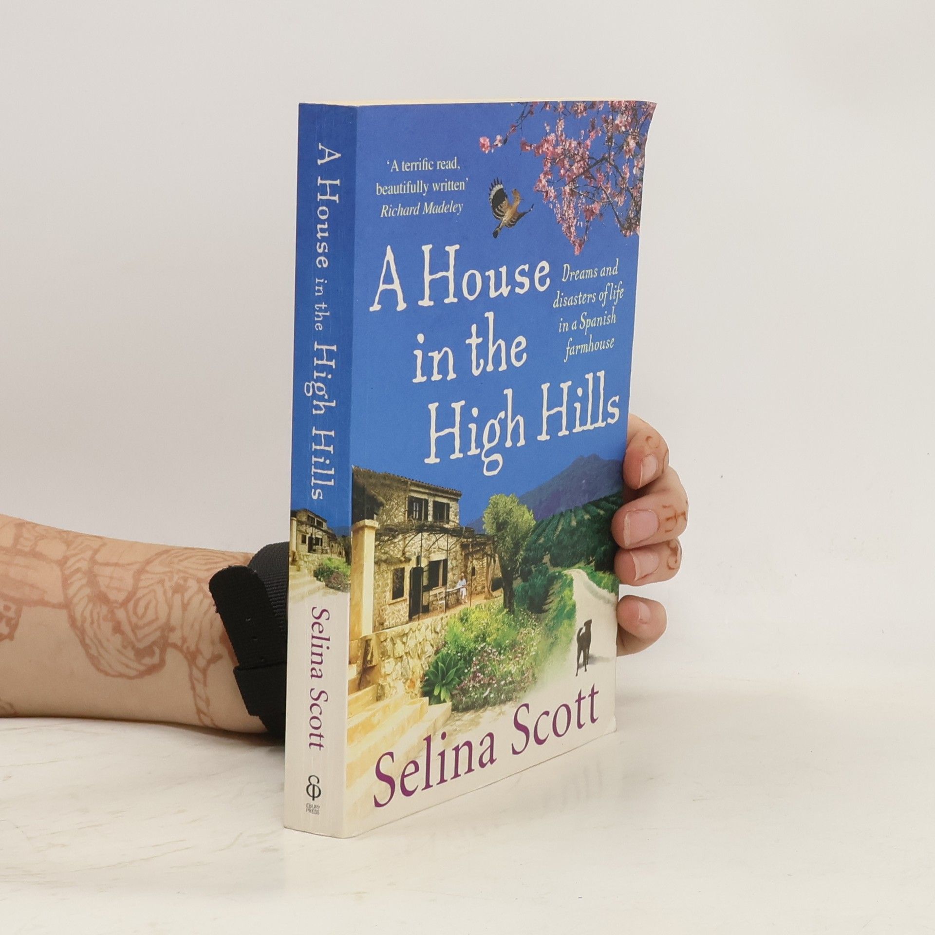 Selina Scott A House in the High Hills