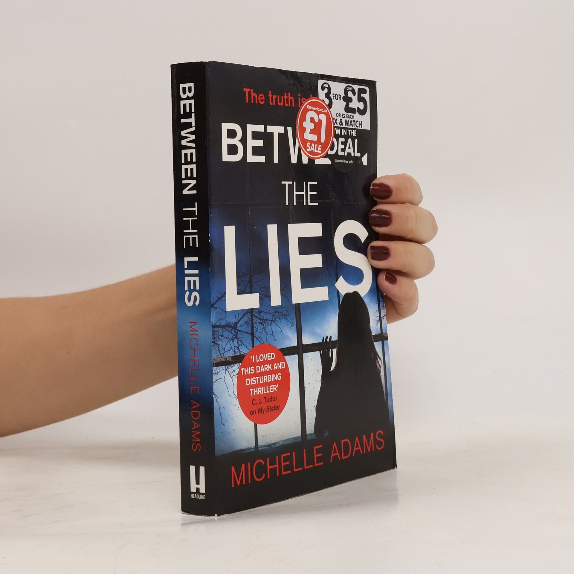 Michelle Adams Between the Lies