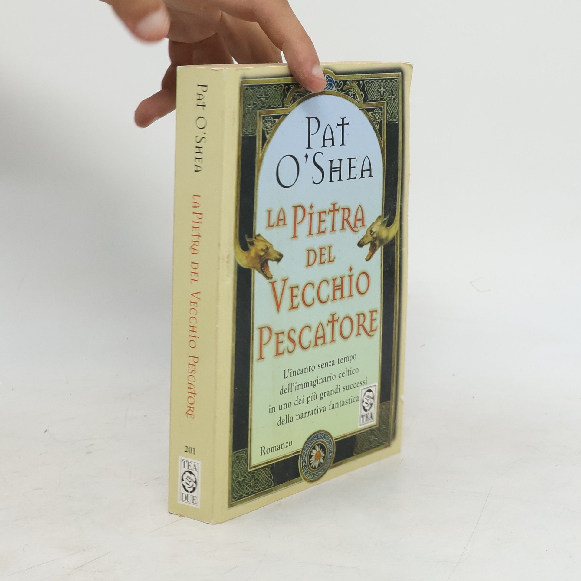 Pat O'Shea La pietra del vecchio pescatore