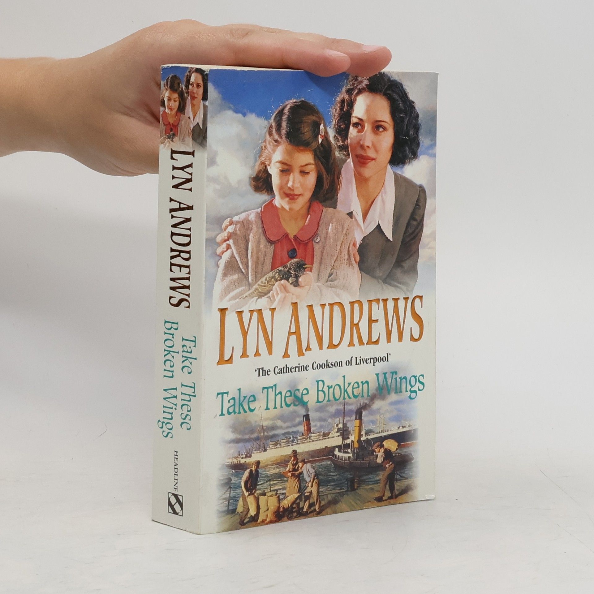 Lyn Andrews Take These Broken Wings