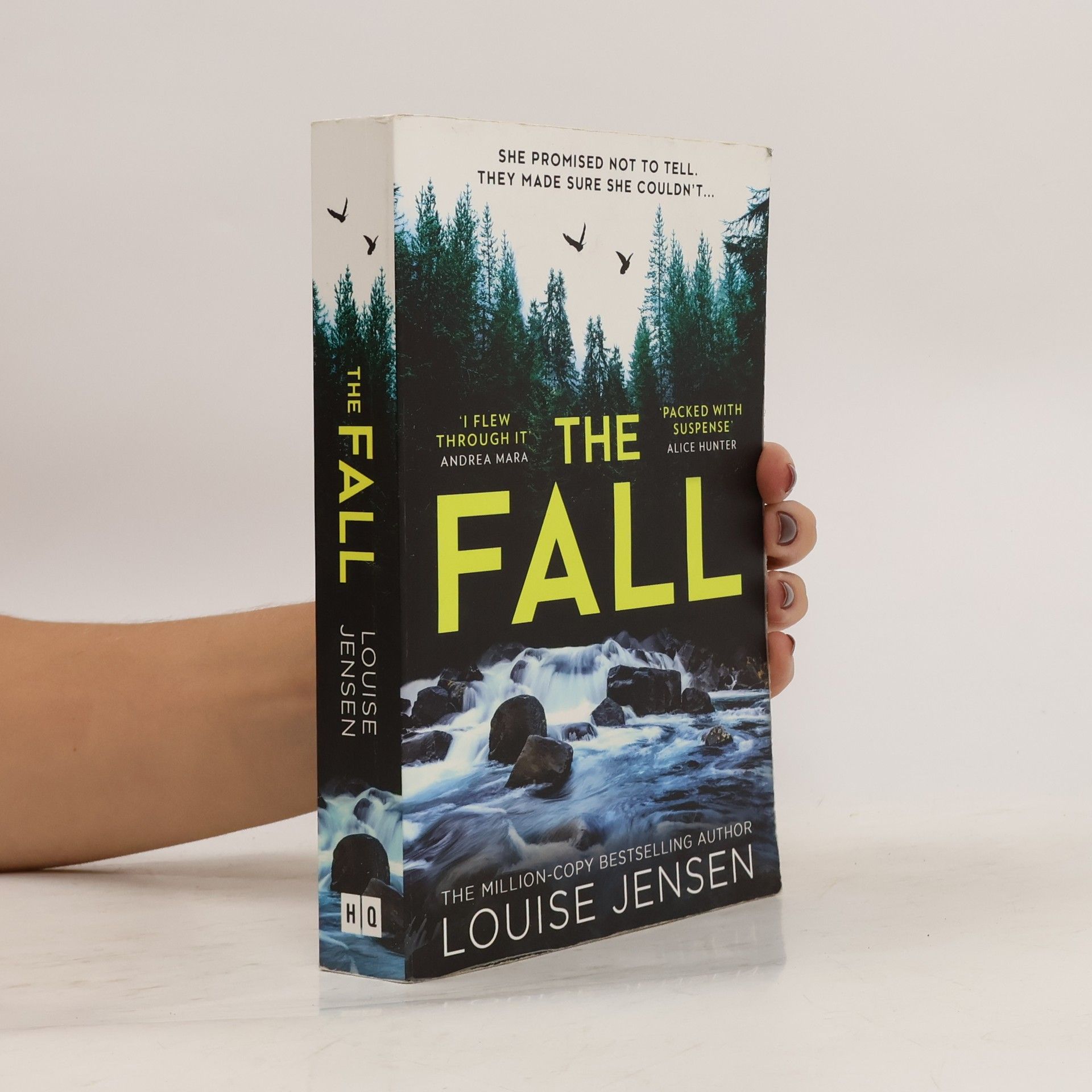 Louise Jensen The Fall