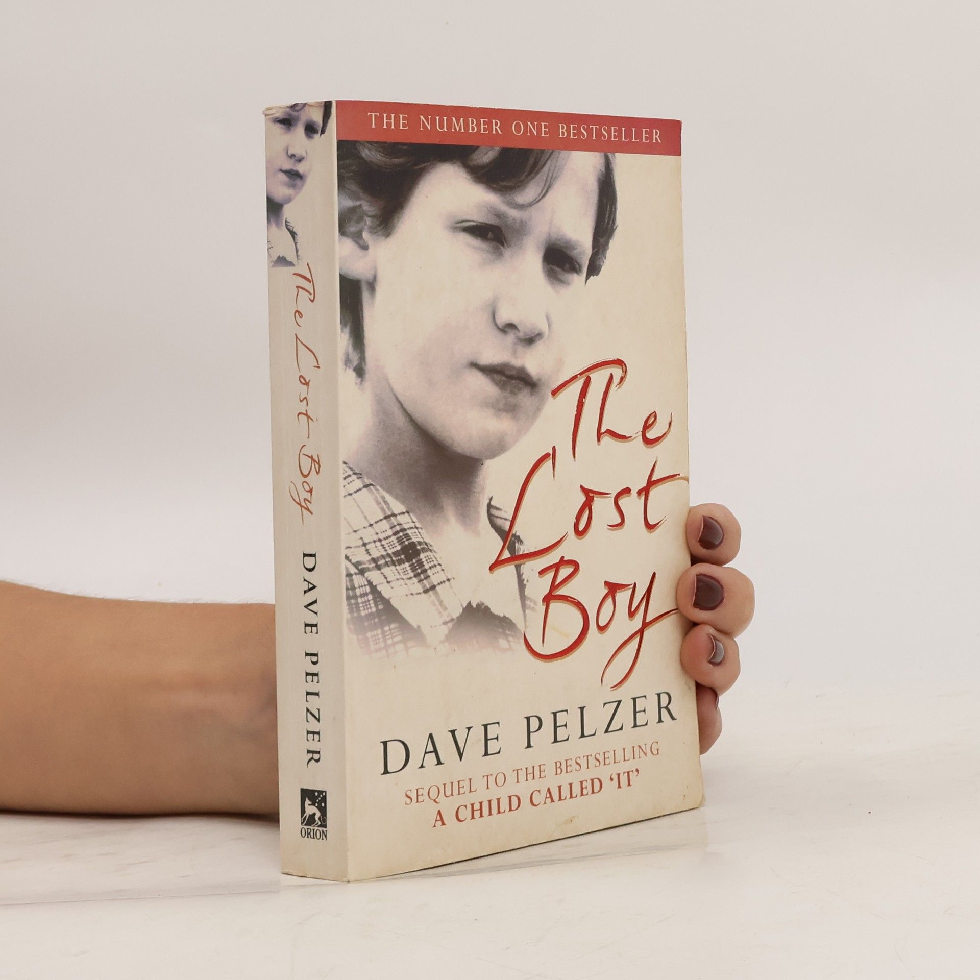 Dave Pelzer The Lost Boy