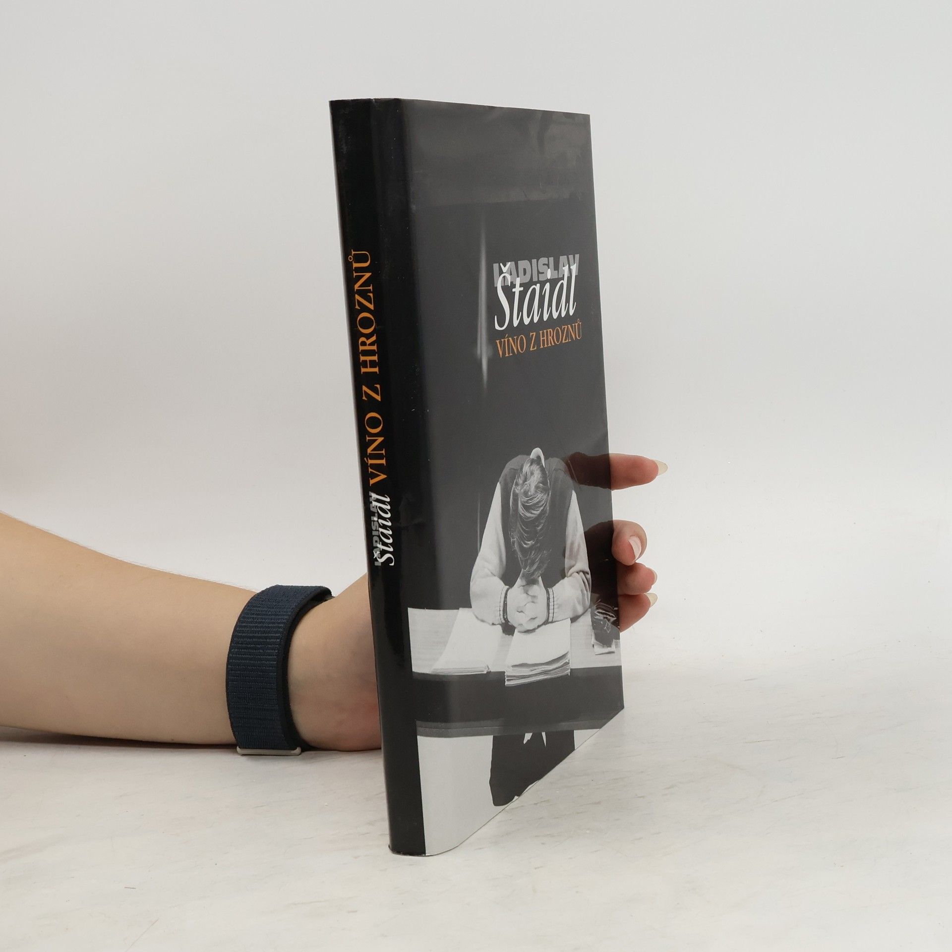 Ladislav Štaidl Víno z hroznů