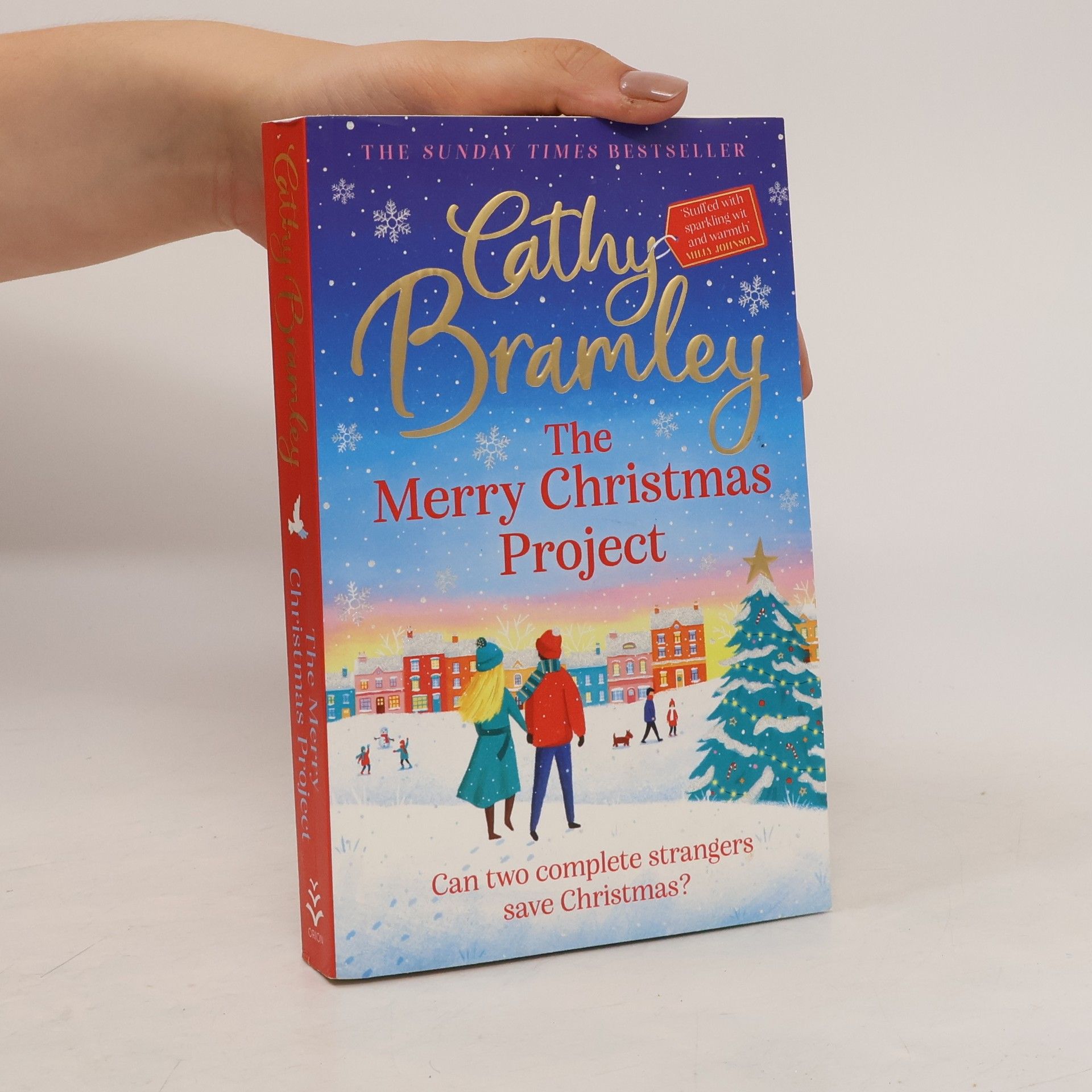Cathy Bramley The Merry Christmas Project