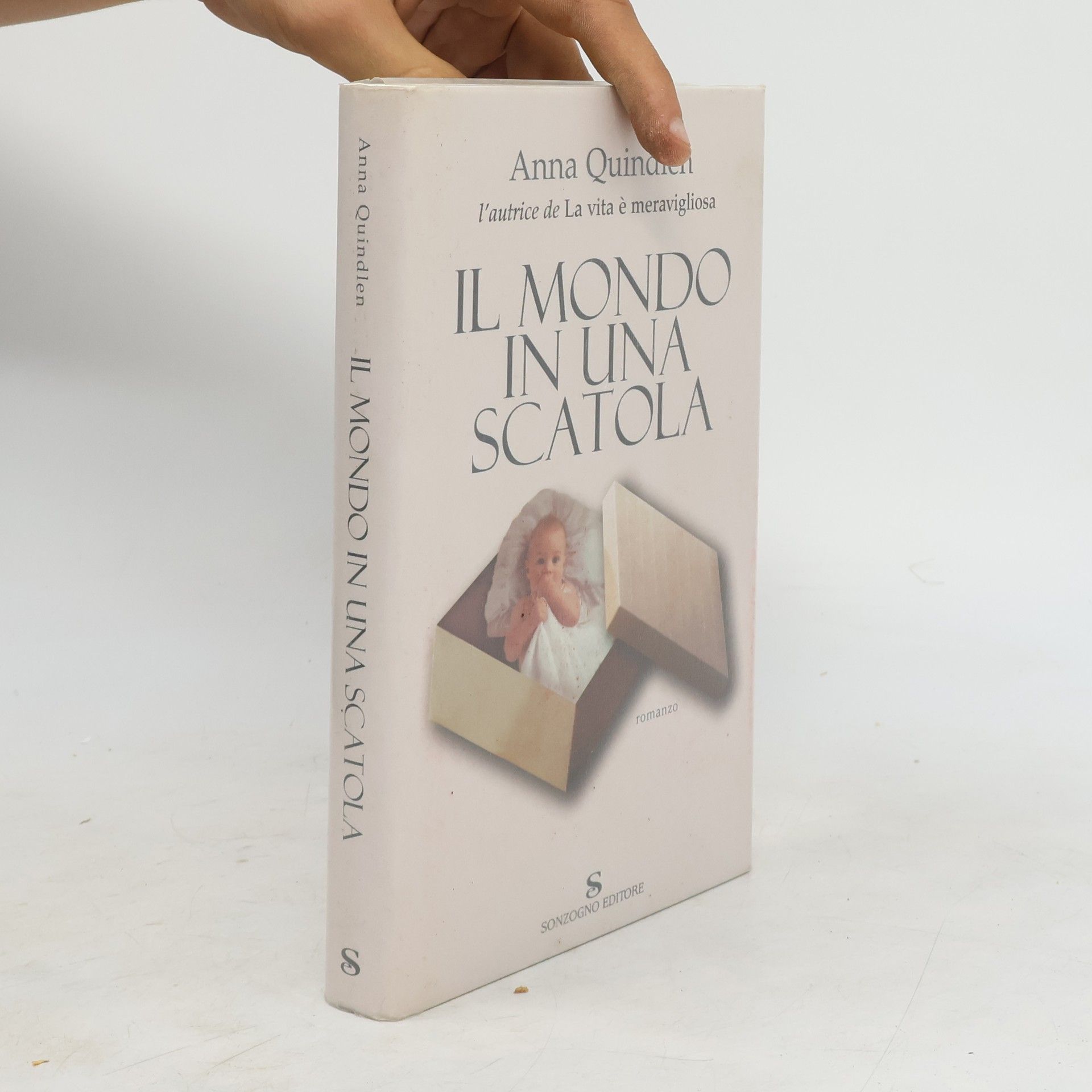 Anna Quindlen Il mondo in una scatola