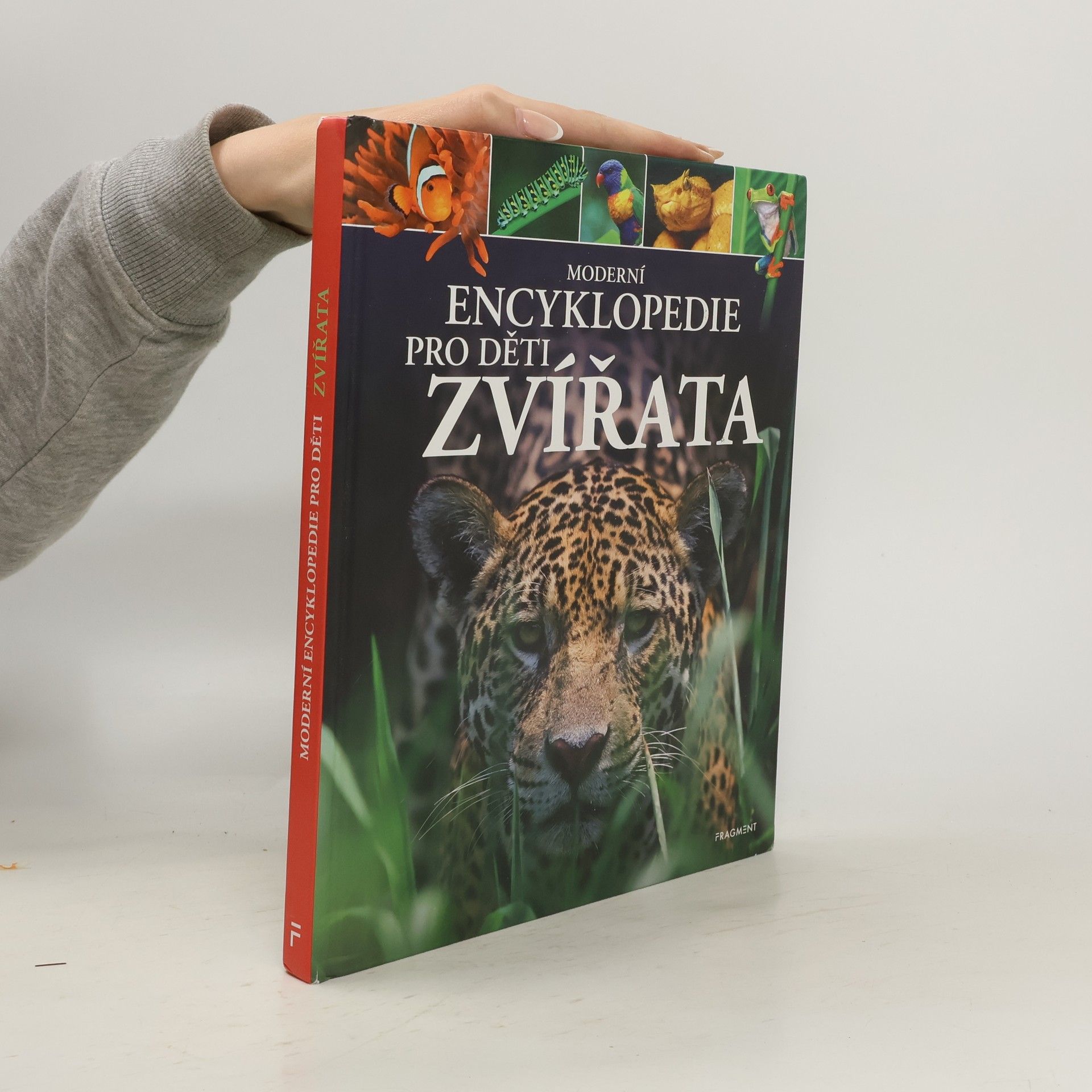 Michael Leach Moderní encyklopedie pro děti - Zvířata