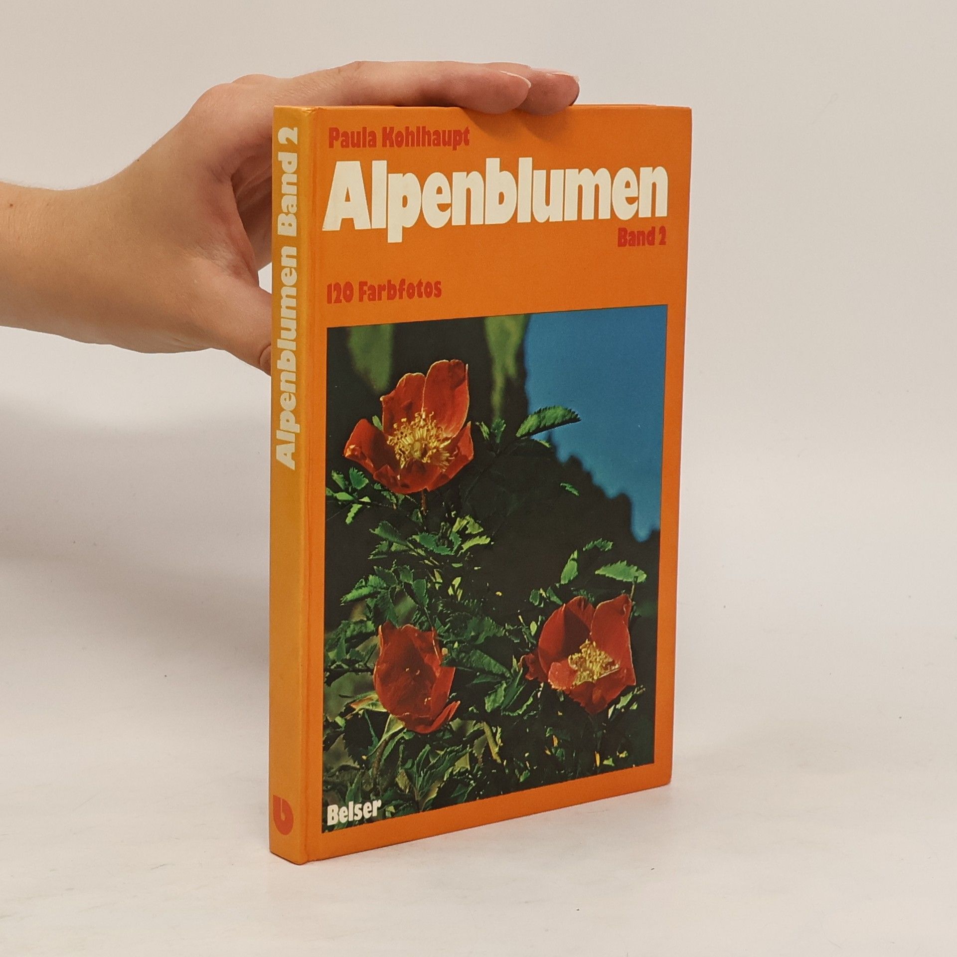 Paula Kohlhaupt Alpenblumen. Band 2
