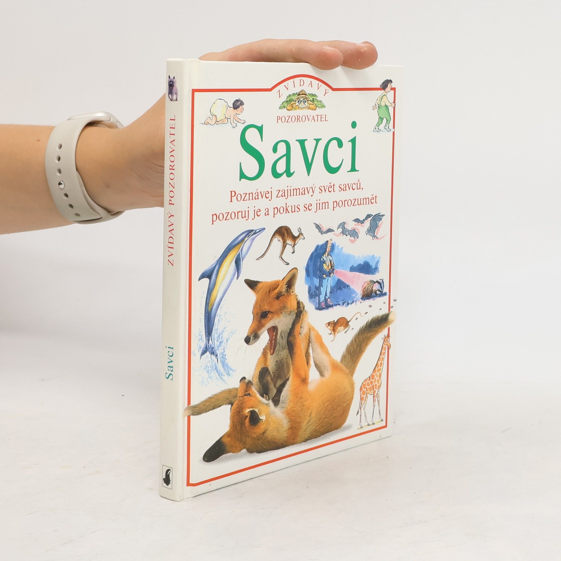 David Burnie Savci