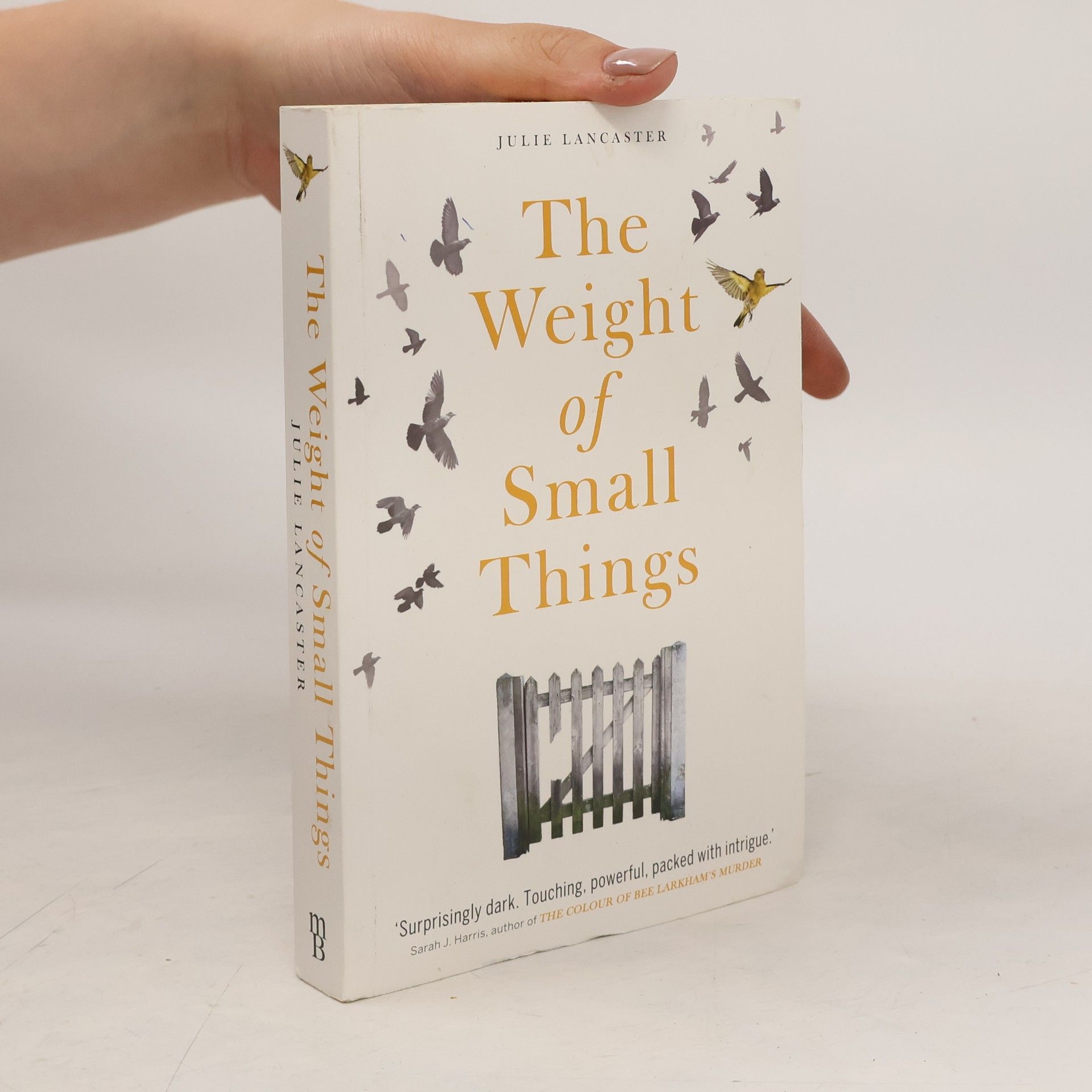 Julie Lancaster The Weight of Small Things