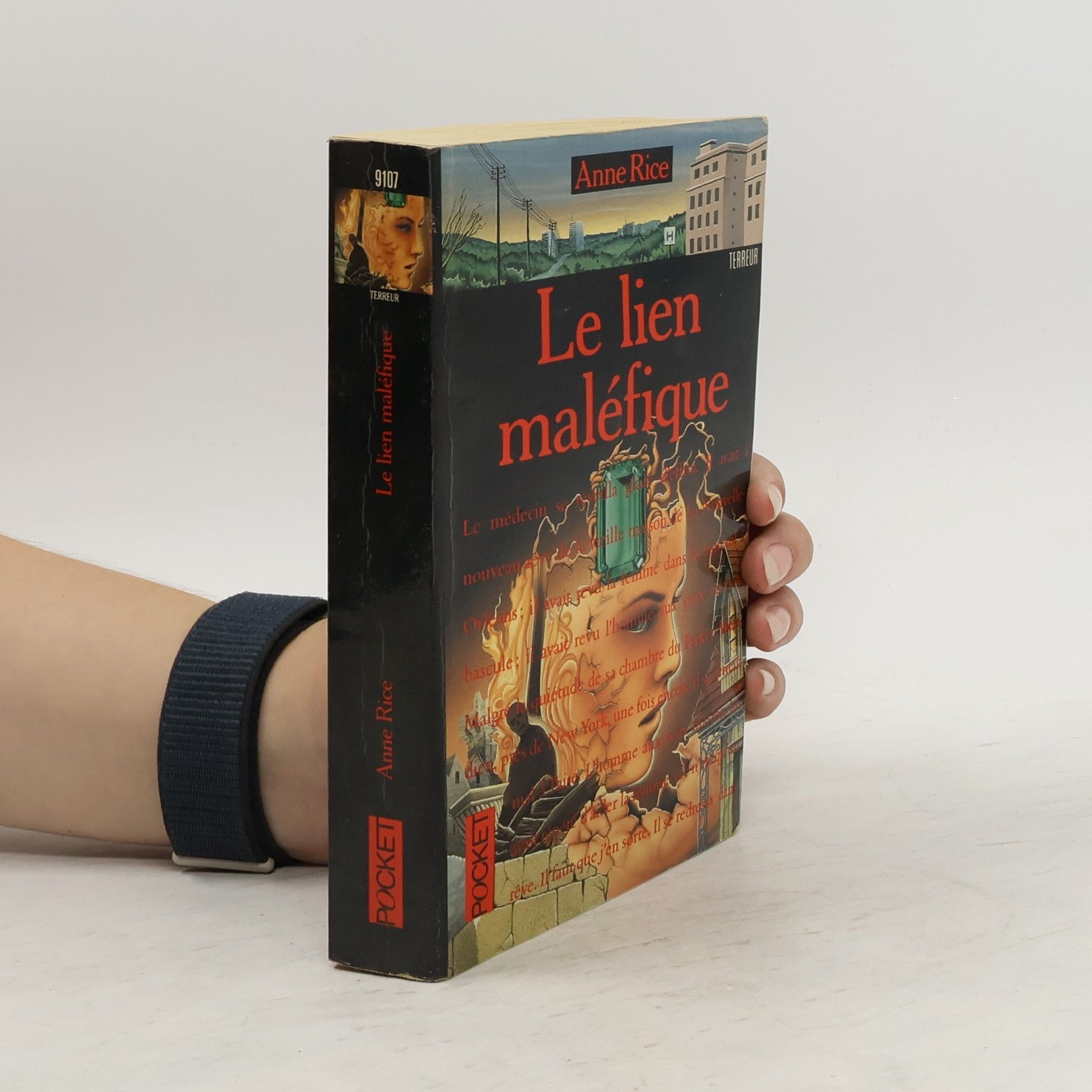 Anne Rice Le lien maléfique