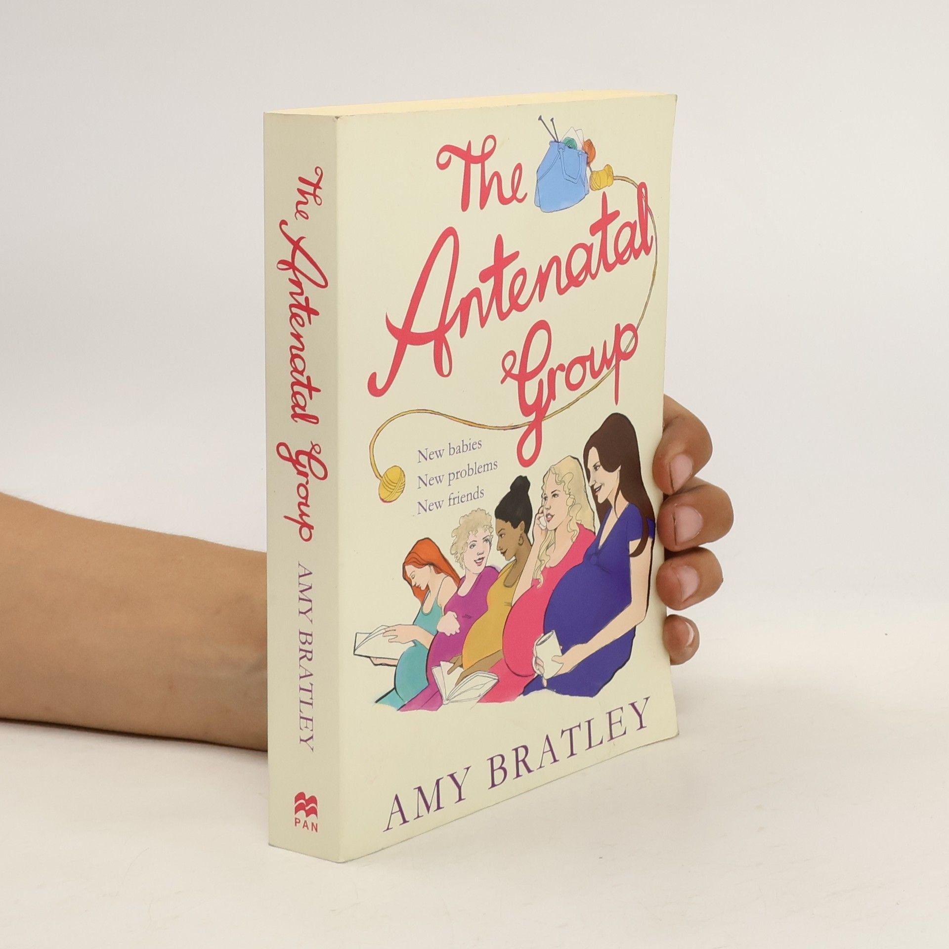 Amy Bratley The Antenatal Group