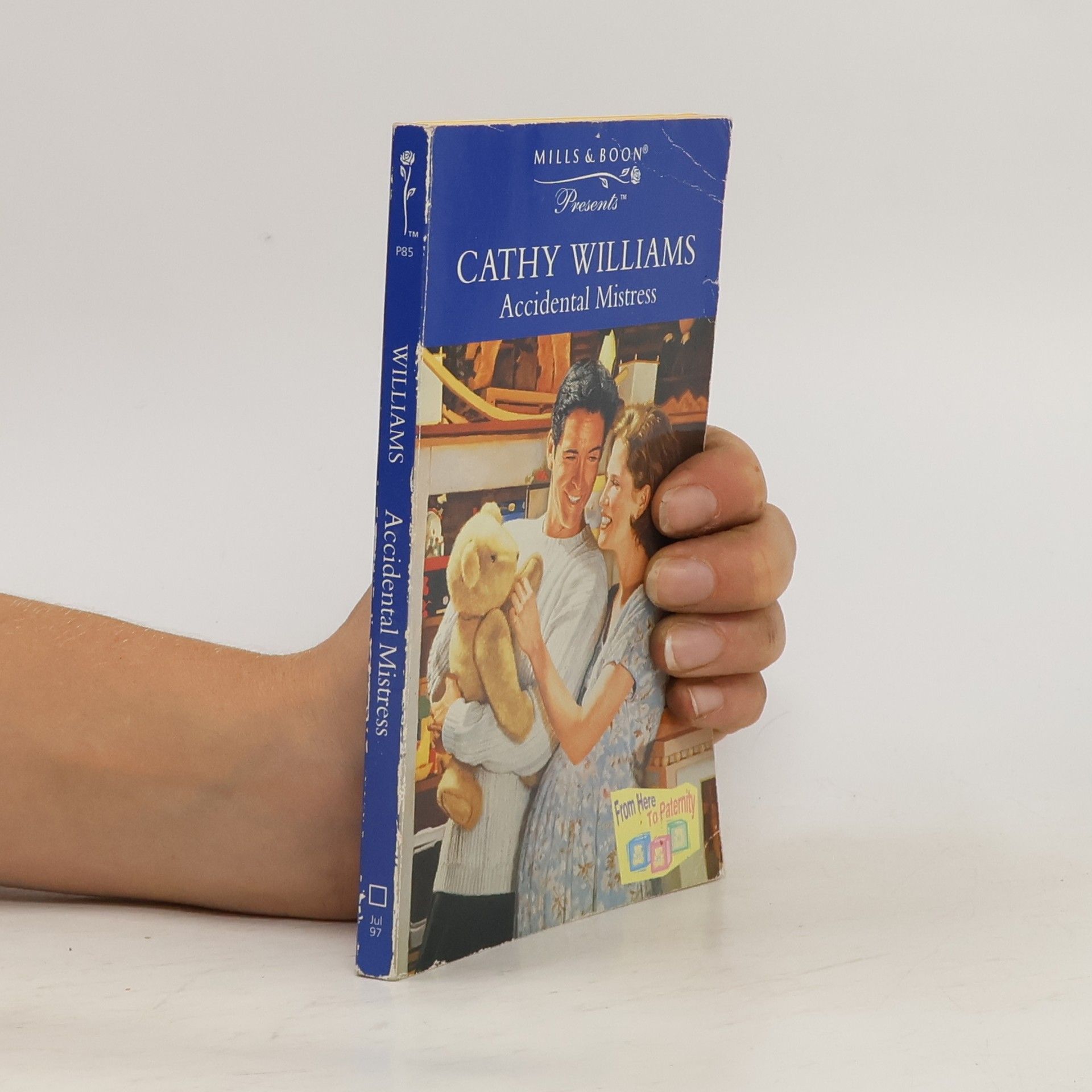 Cathy Williams Accidental Mistress