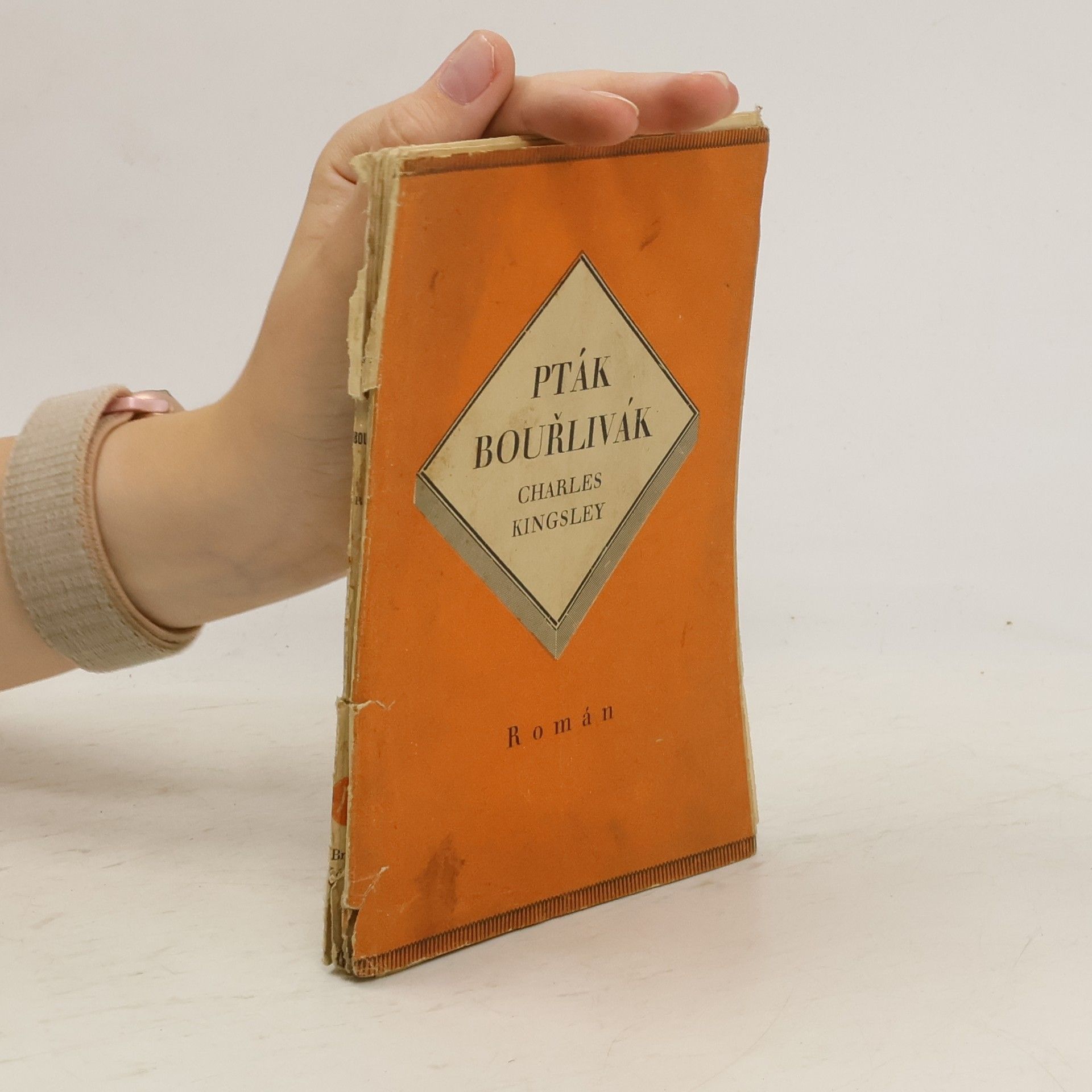 Charles Kingsley Pták bouřlivák