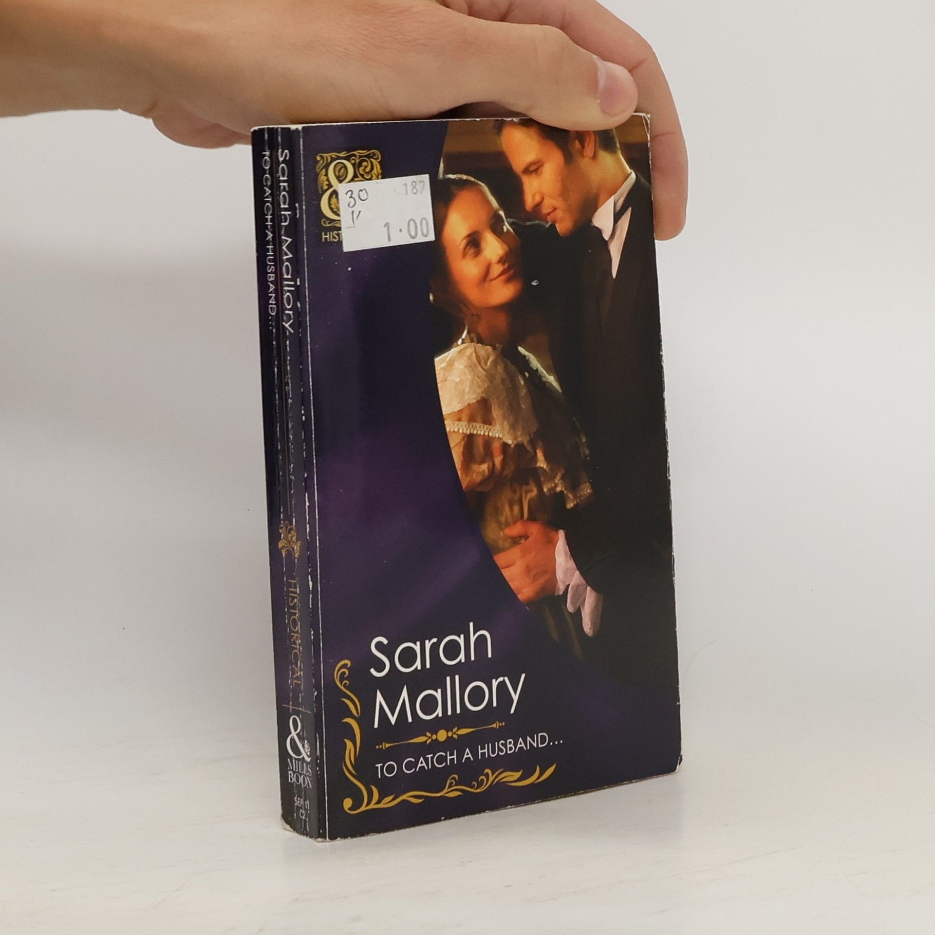 Sarah Mallory To Catch a Husband