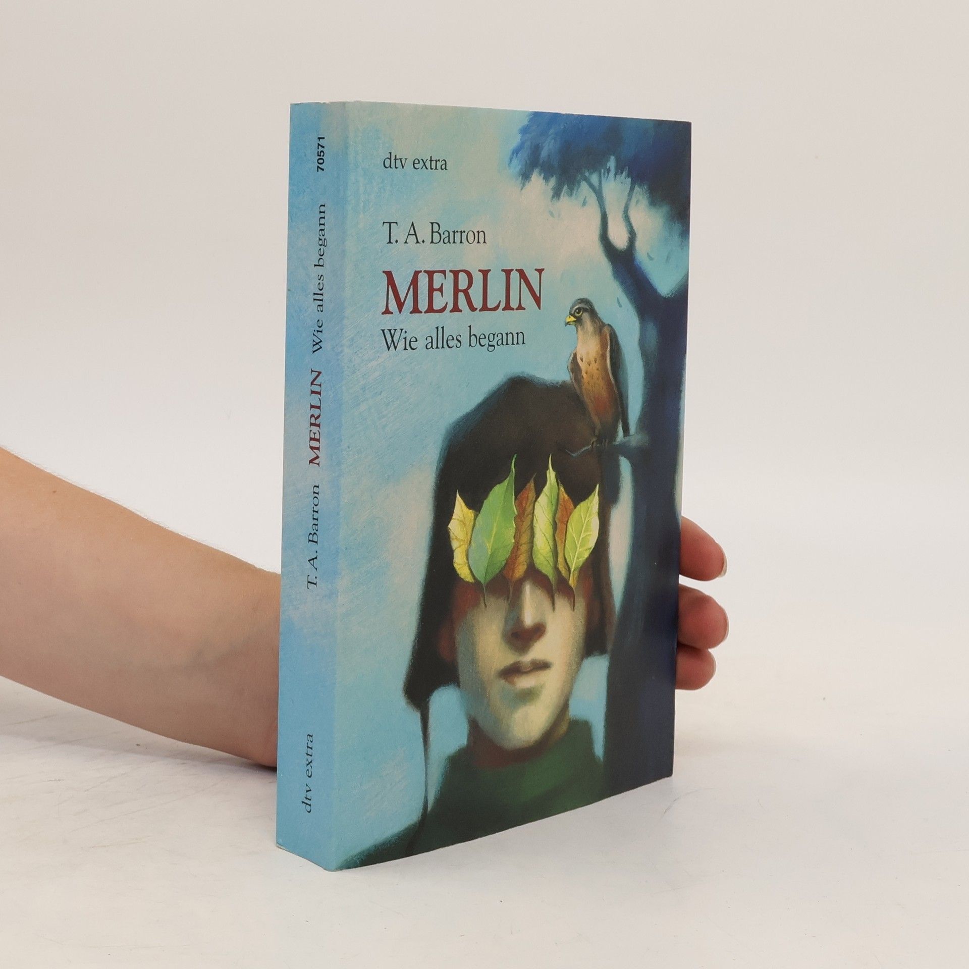 T. A. Barron Merlin. Wie alles begann