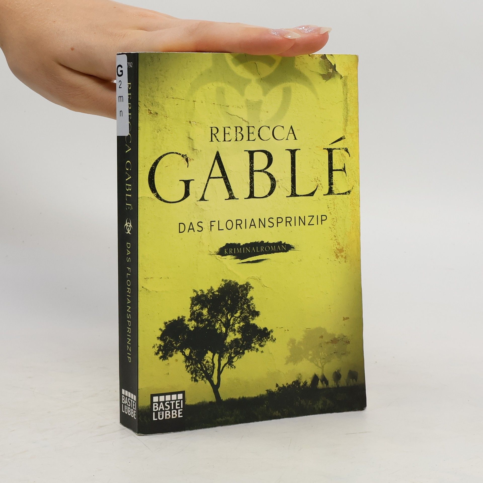Rebecca Gablé Das Floriansprinzip