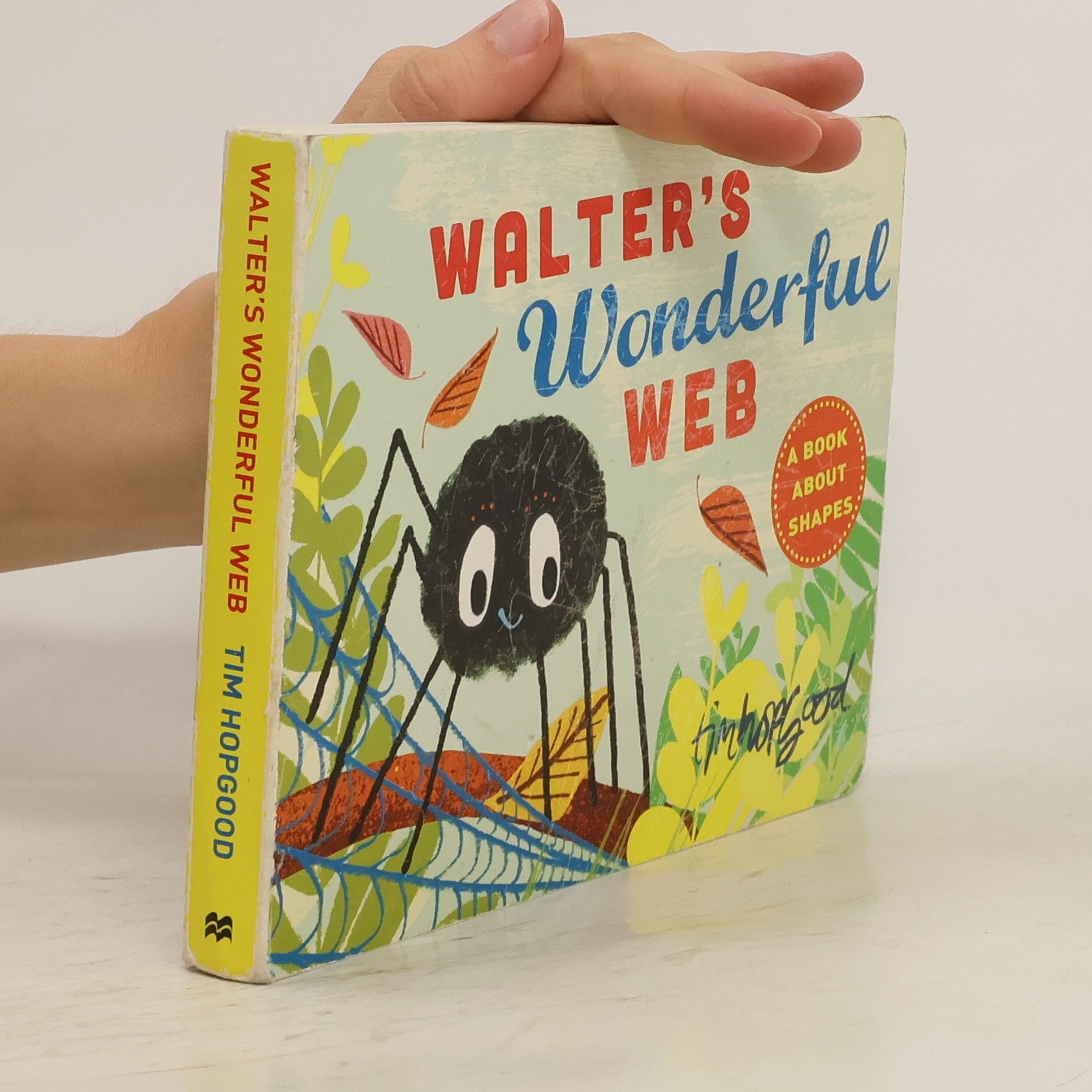 Tim Hopgood Walter's Wonderful Web