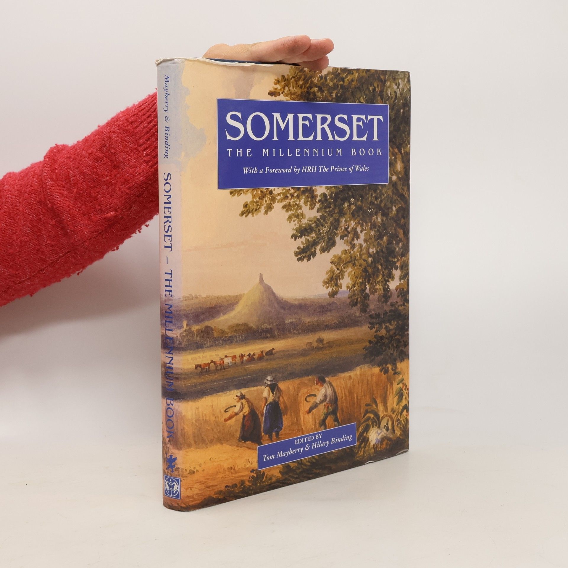 Tom Mayberry Somerset