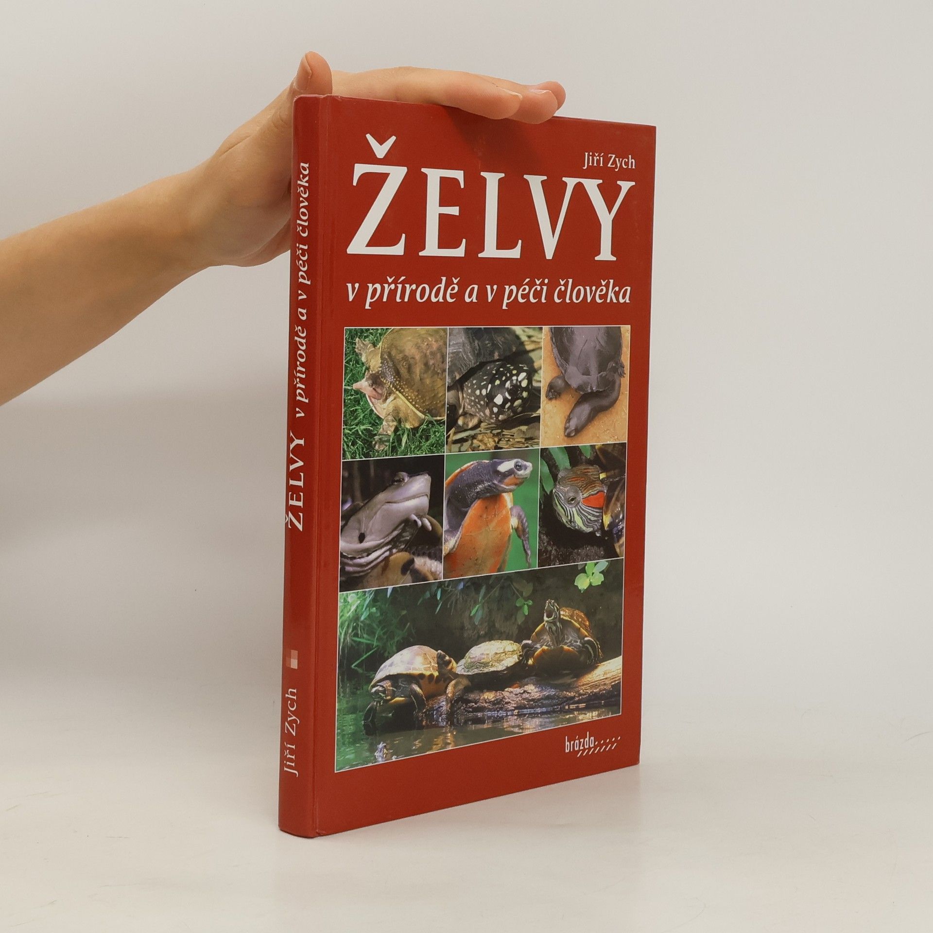 Jiří Zych Želvy v přírodě a v péči člověka
