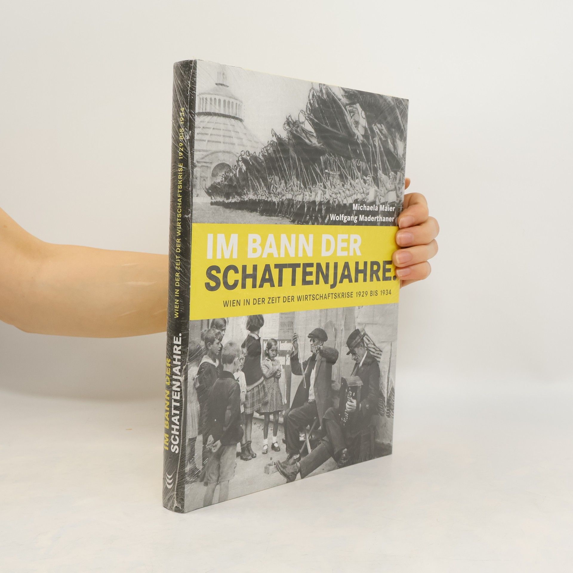 Michaela Maier Im Bann der Schattenjahre