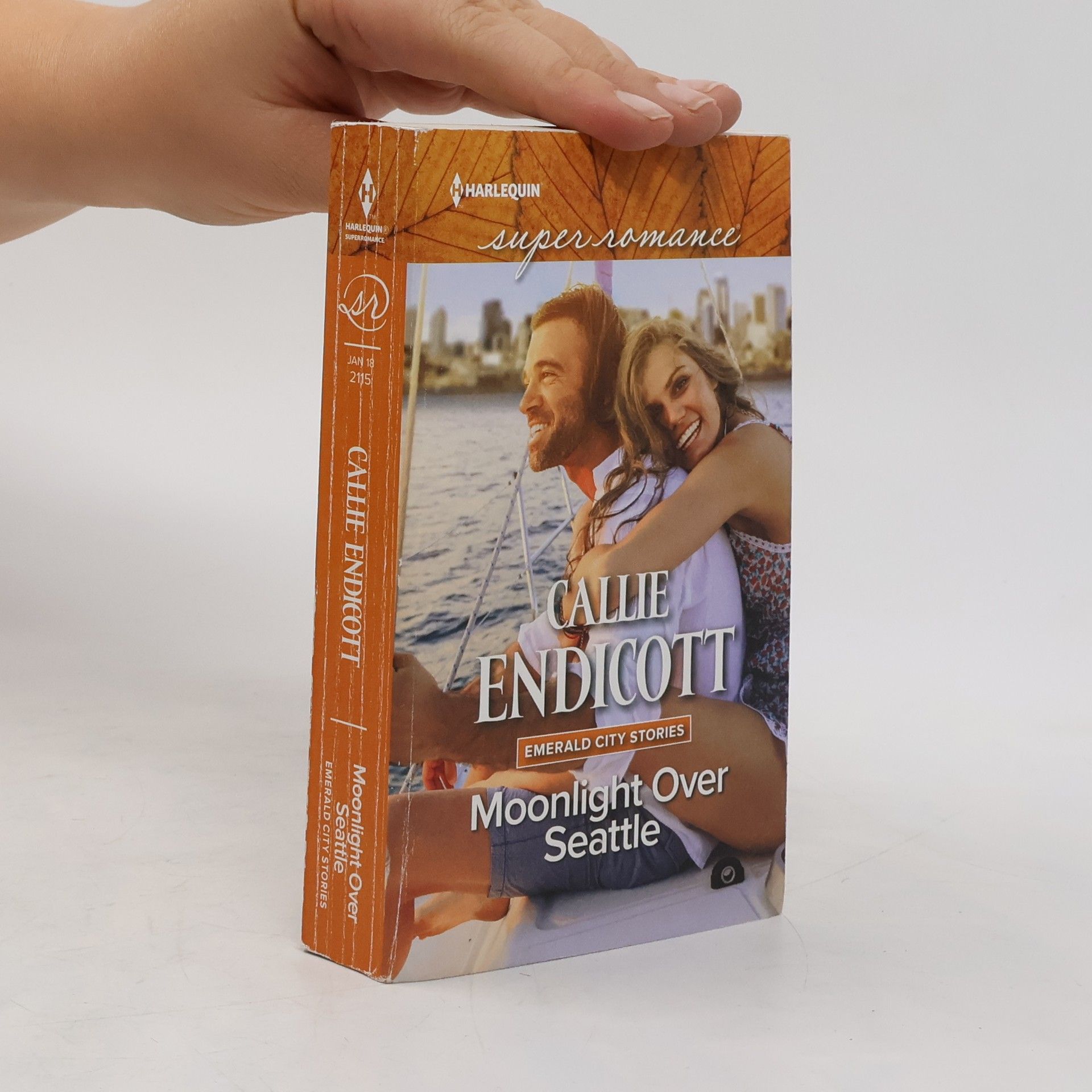 Callie Endicott Moonlight Over Seattle