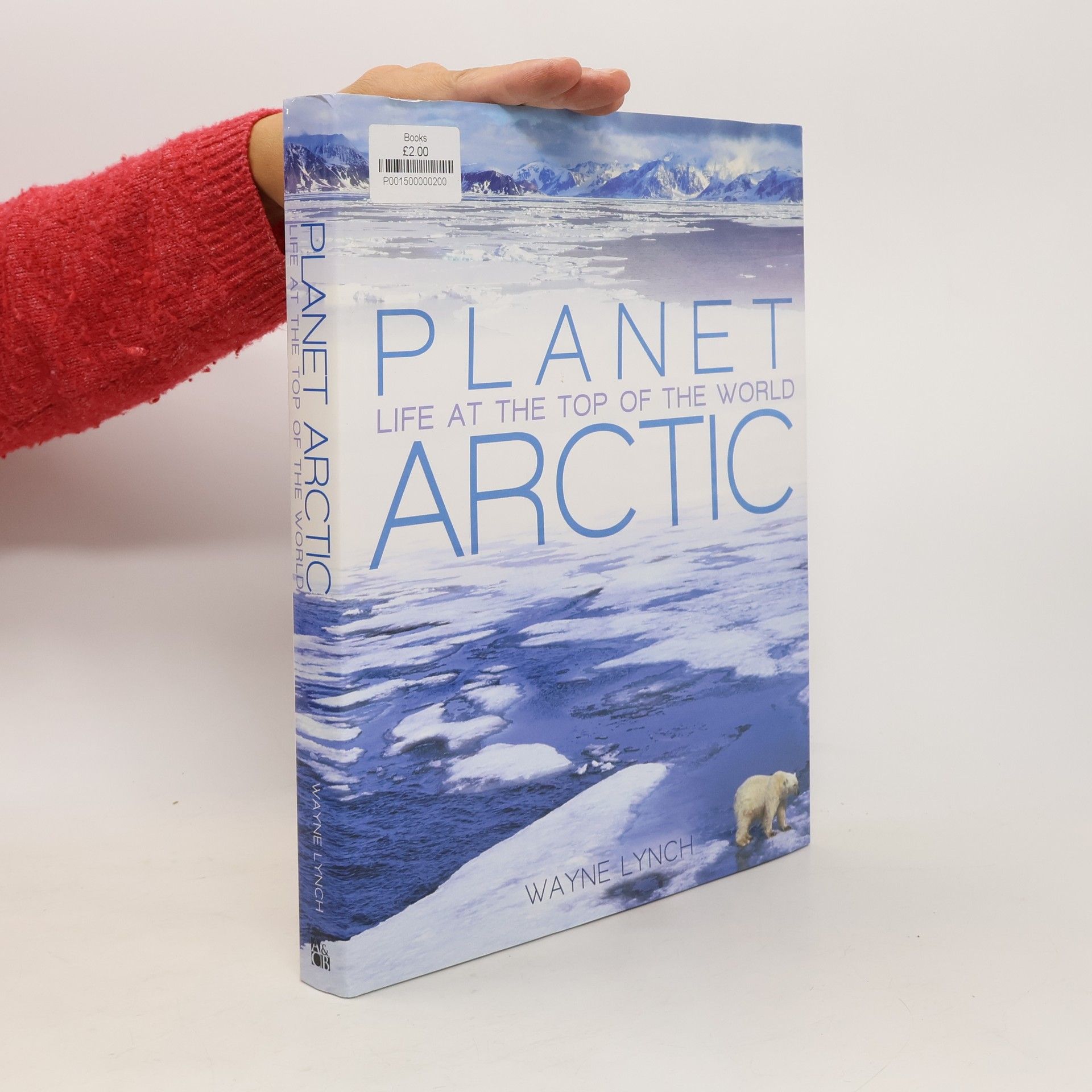 Wayne Lynch Planet Arctic