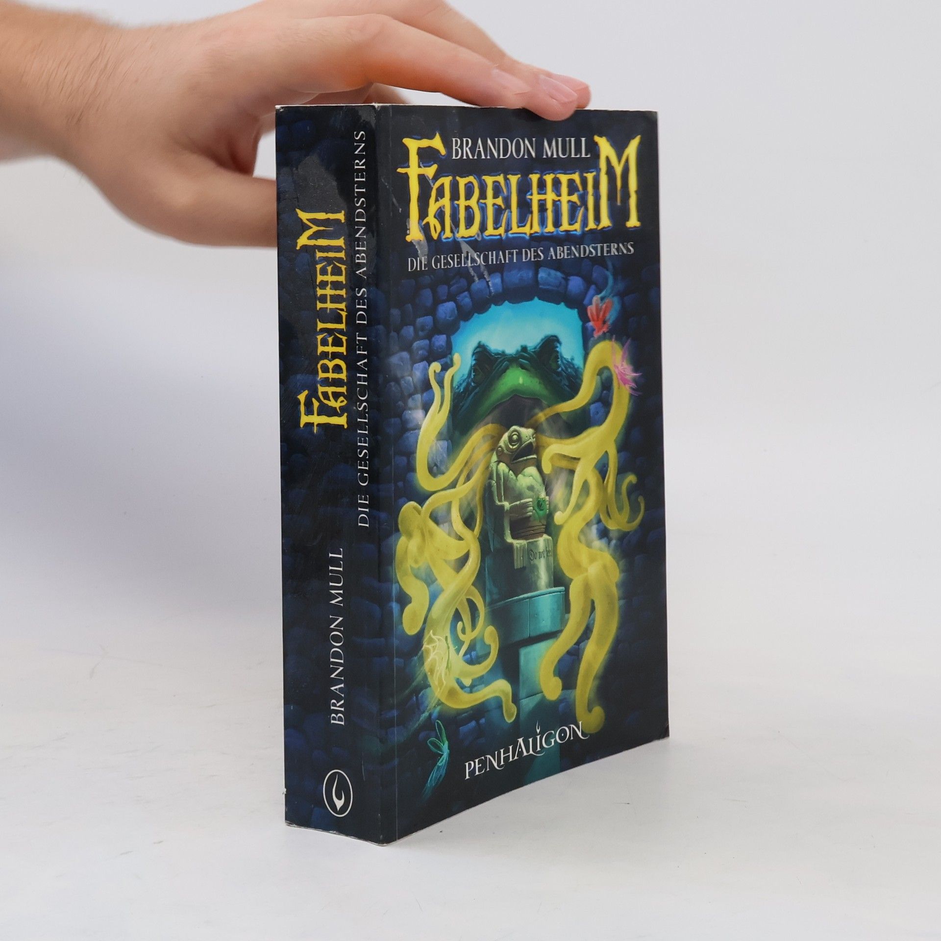 Brandon Mull Fabelheim - die Gesellschaft des Abendsterns