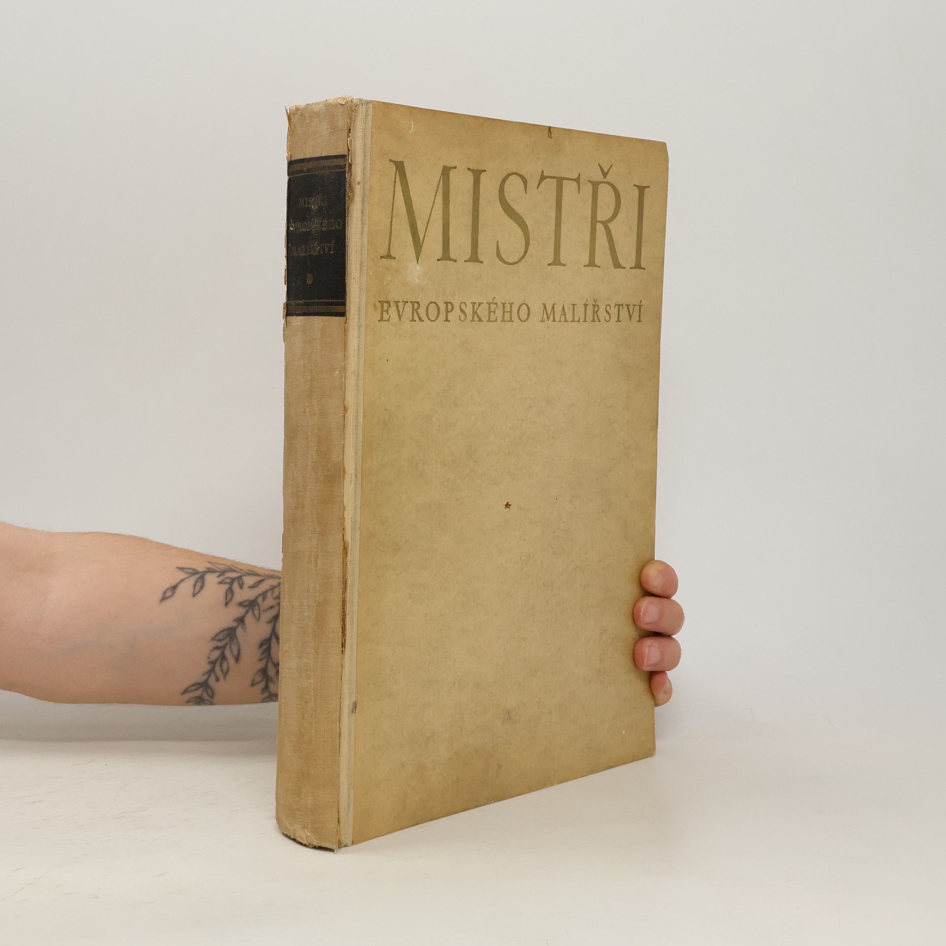 Otakar ŠtorchMarien Mistři evropského malířství