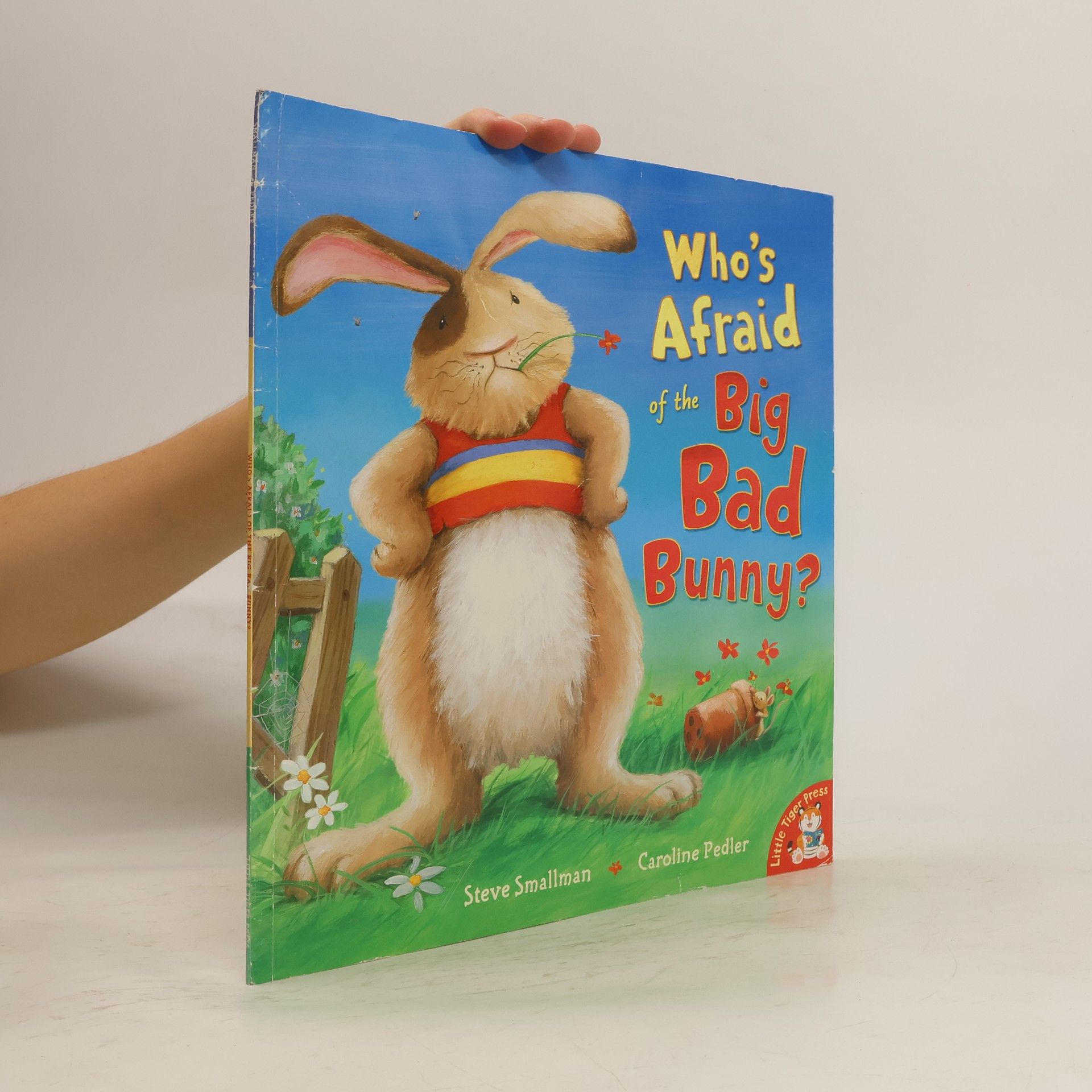 Steve Smallman Who's Afraid of the Big Bad Bunny?