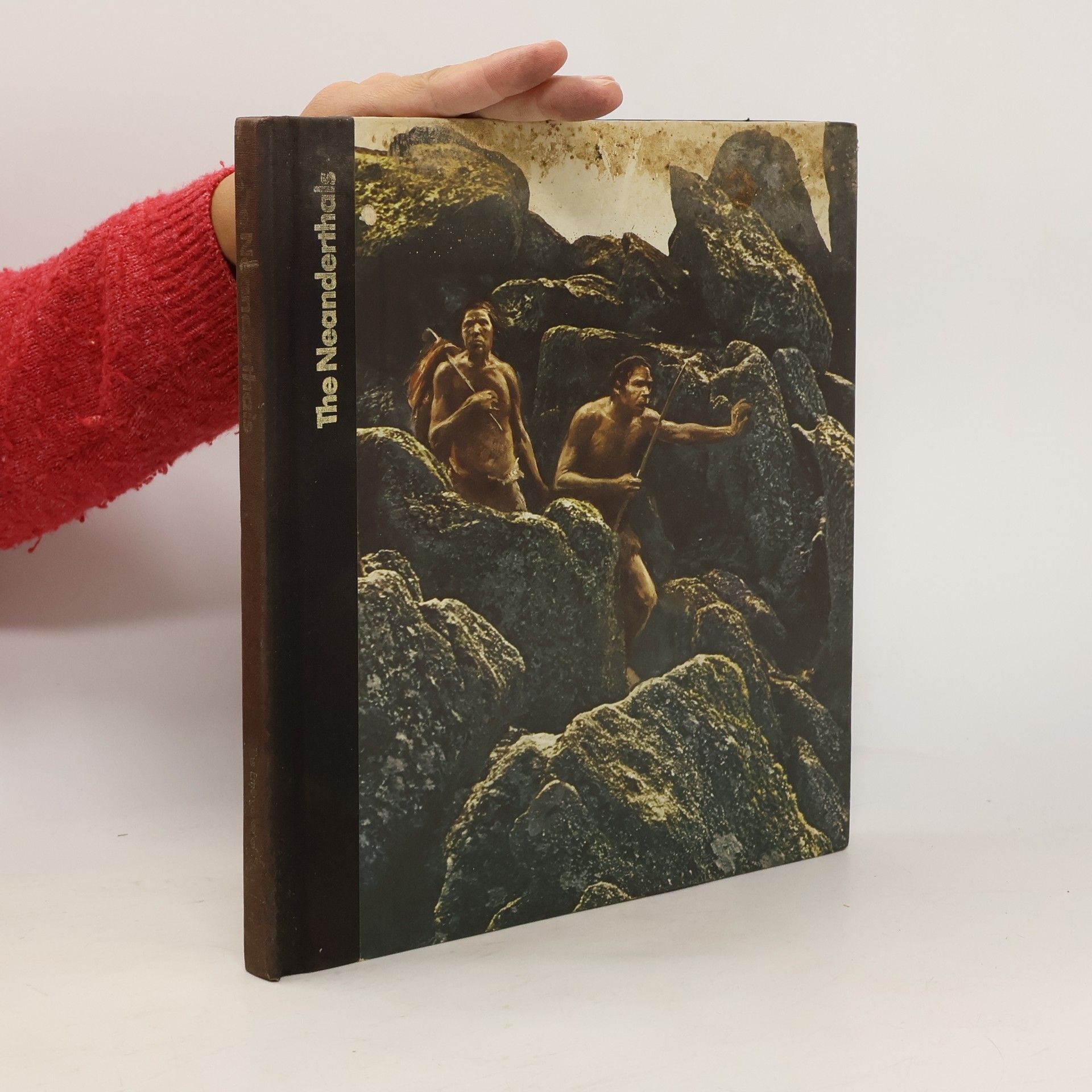 Collective The Neanderthals